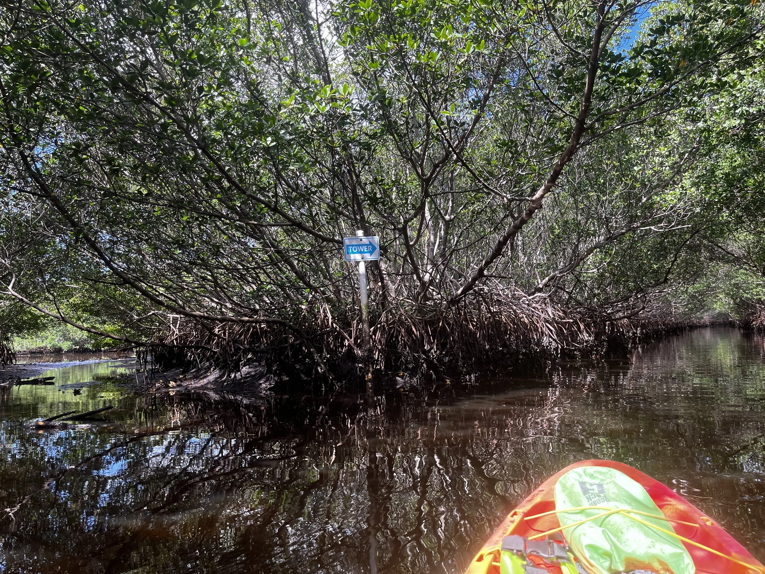 Explore the winding mangrove tunnels and enjoy the shady nature preserve in peace and quiet. Keep a lookout for crabs, wading birds, fish, even sharks!