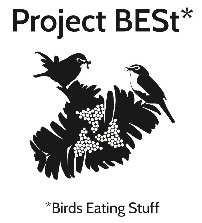 Screen Shot 2021-07-01 at 3.15.07 PM.png