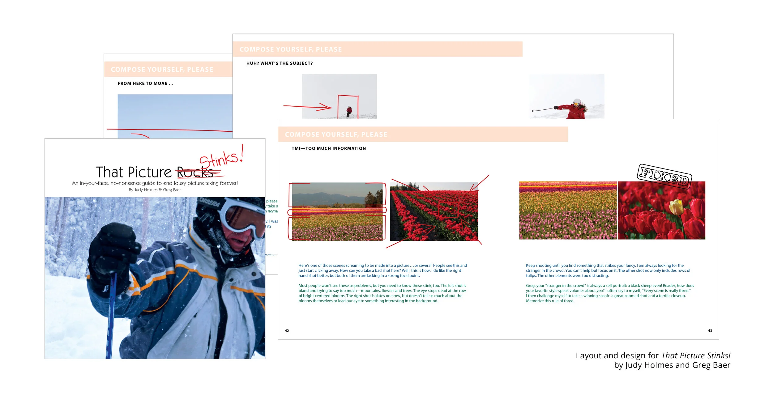 That Picture Stinks! book design and layout