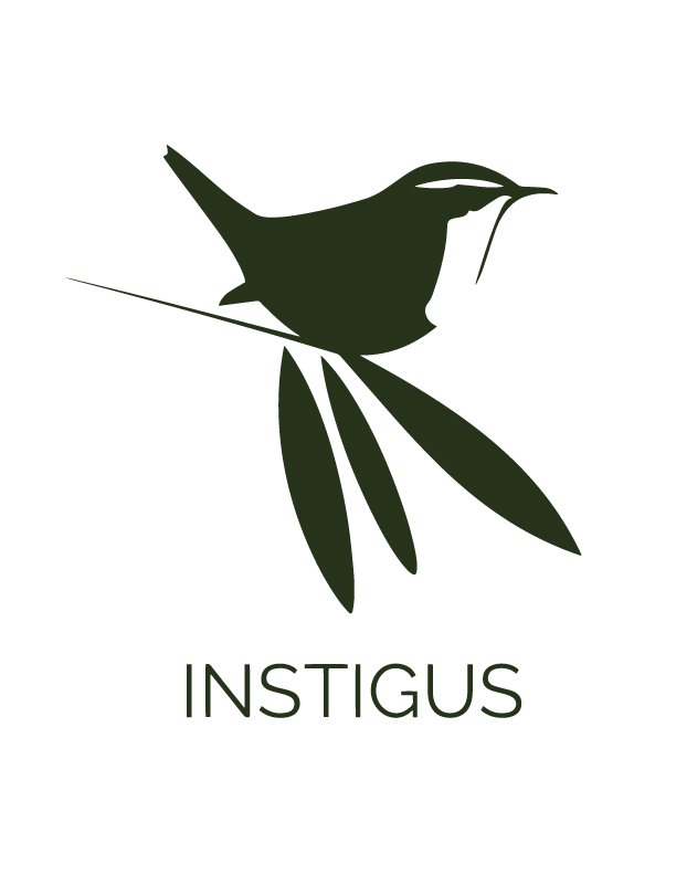 instigus-logo10-27-16.jpg