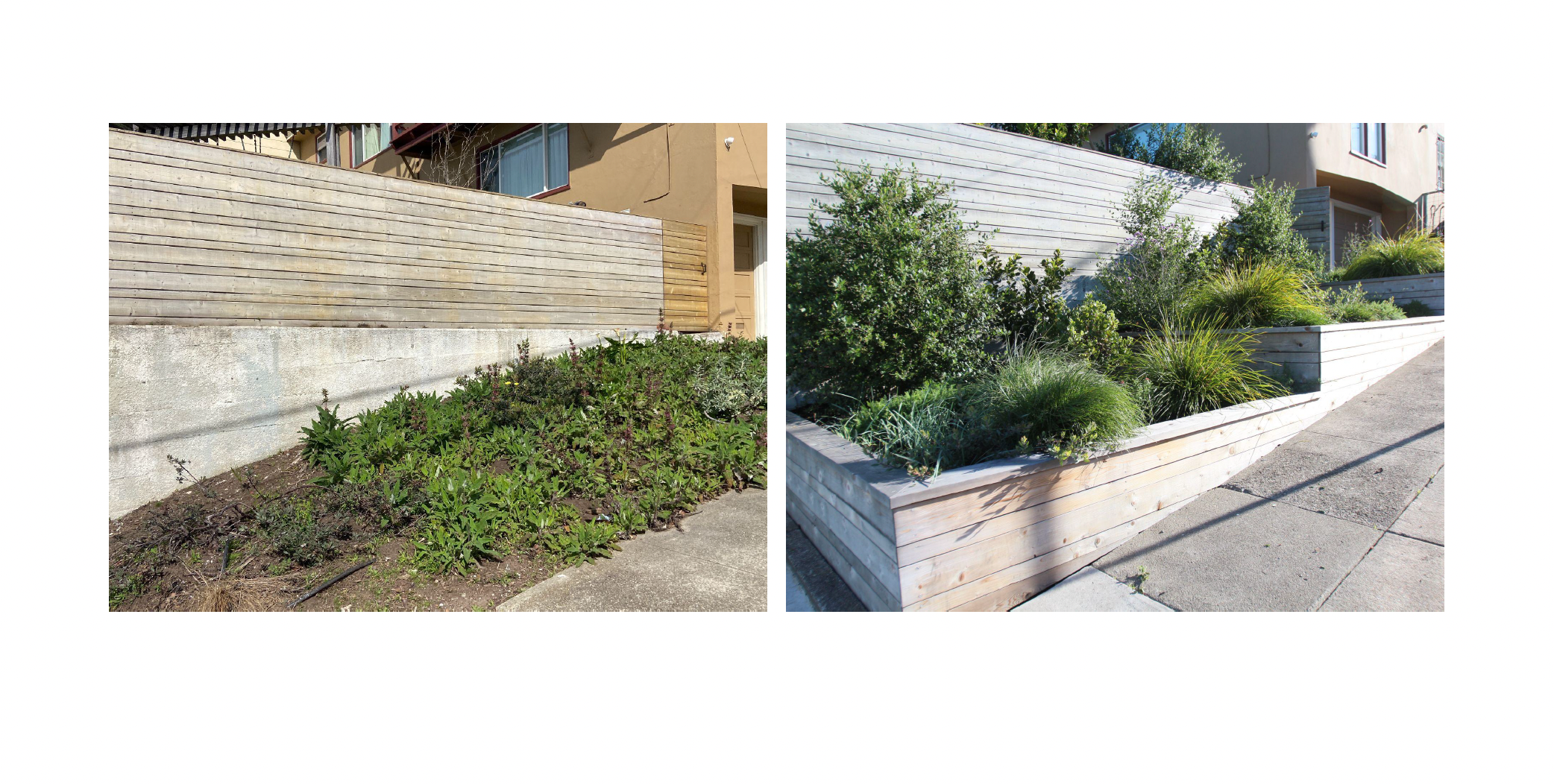 TEAL Frankel Before_After Photos - 1.png