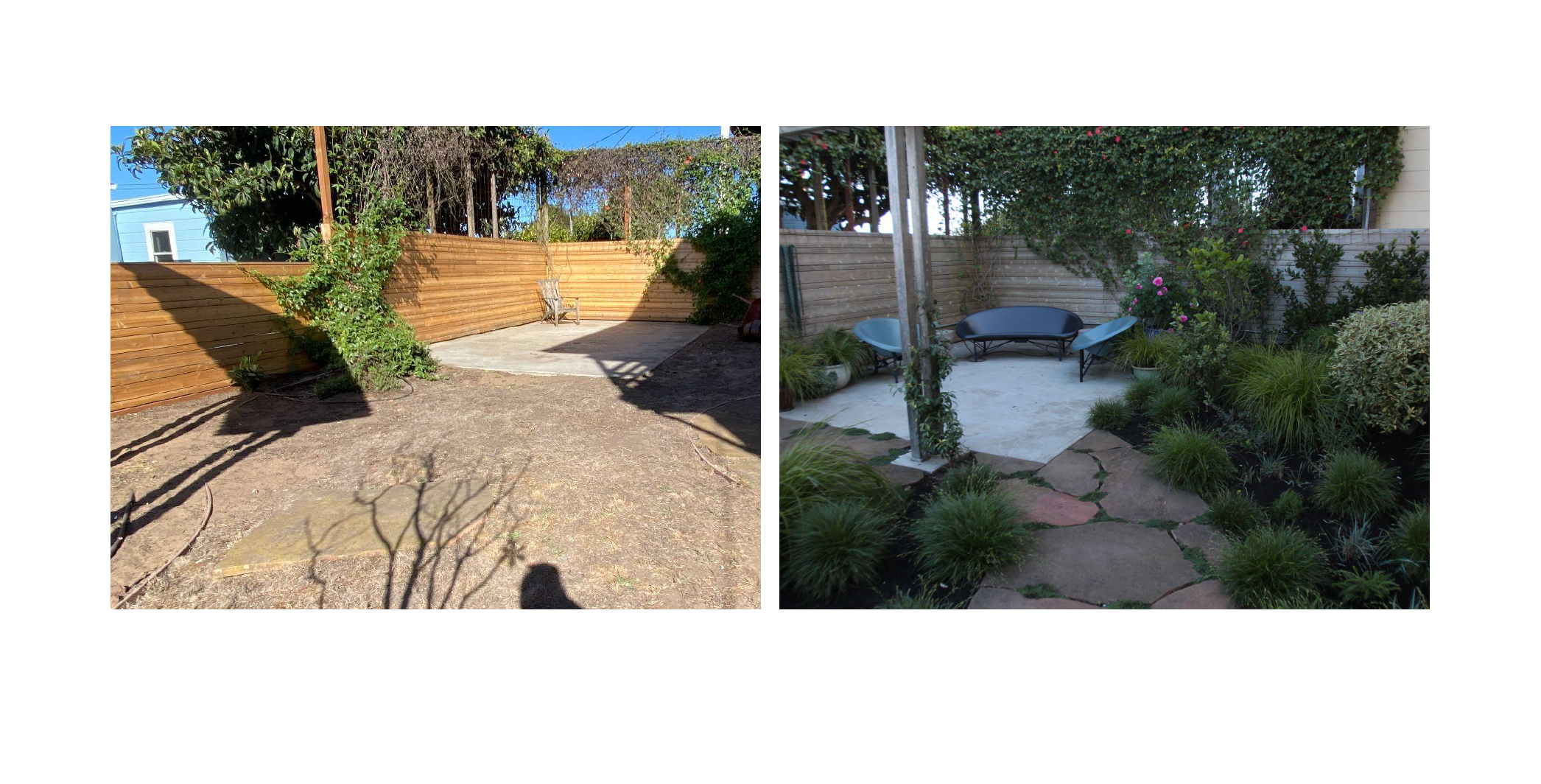 TEAL Frankel Before_After Photos - 2.png