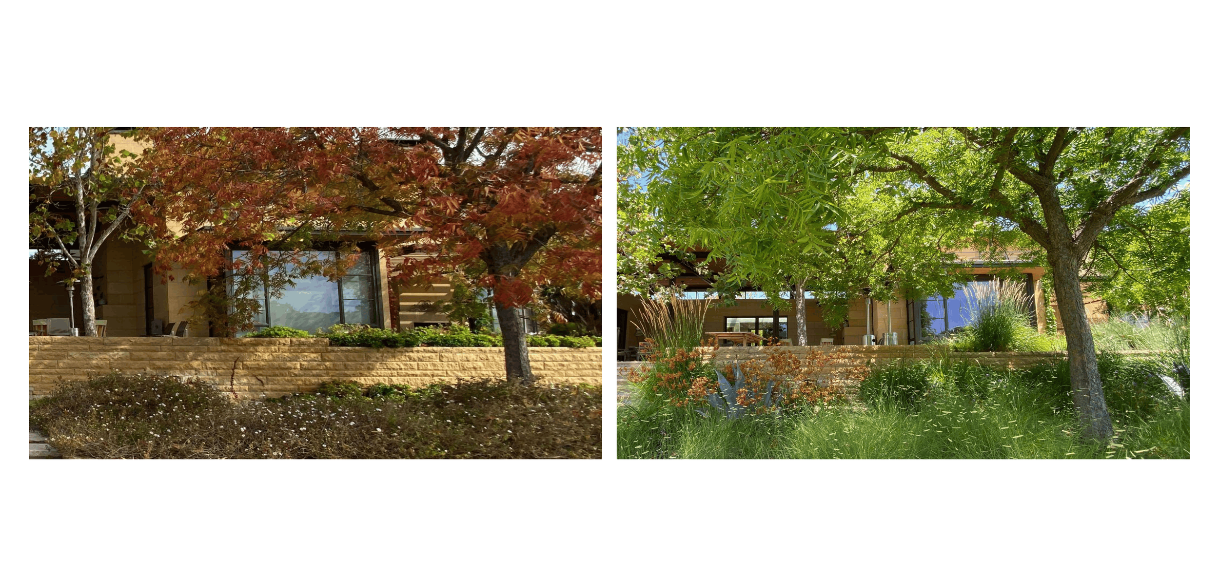 TEAL Byers Before_After Photos-6 crop.png