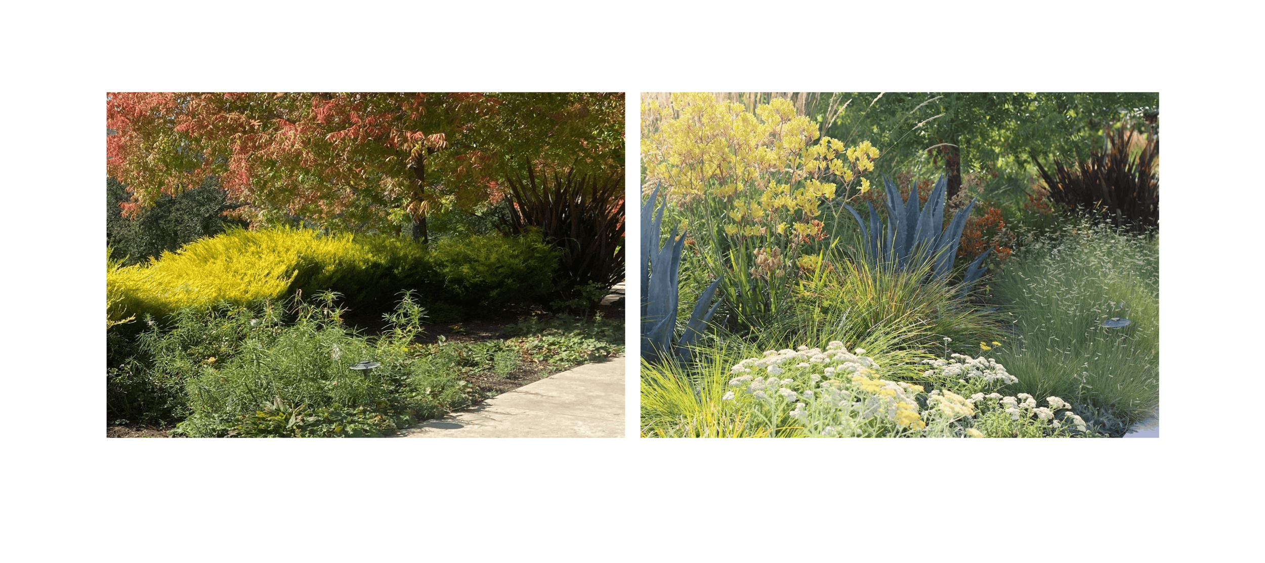 TEAL Byers Before_After Photos-3 crop.png