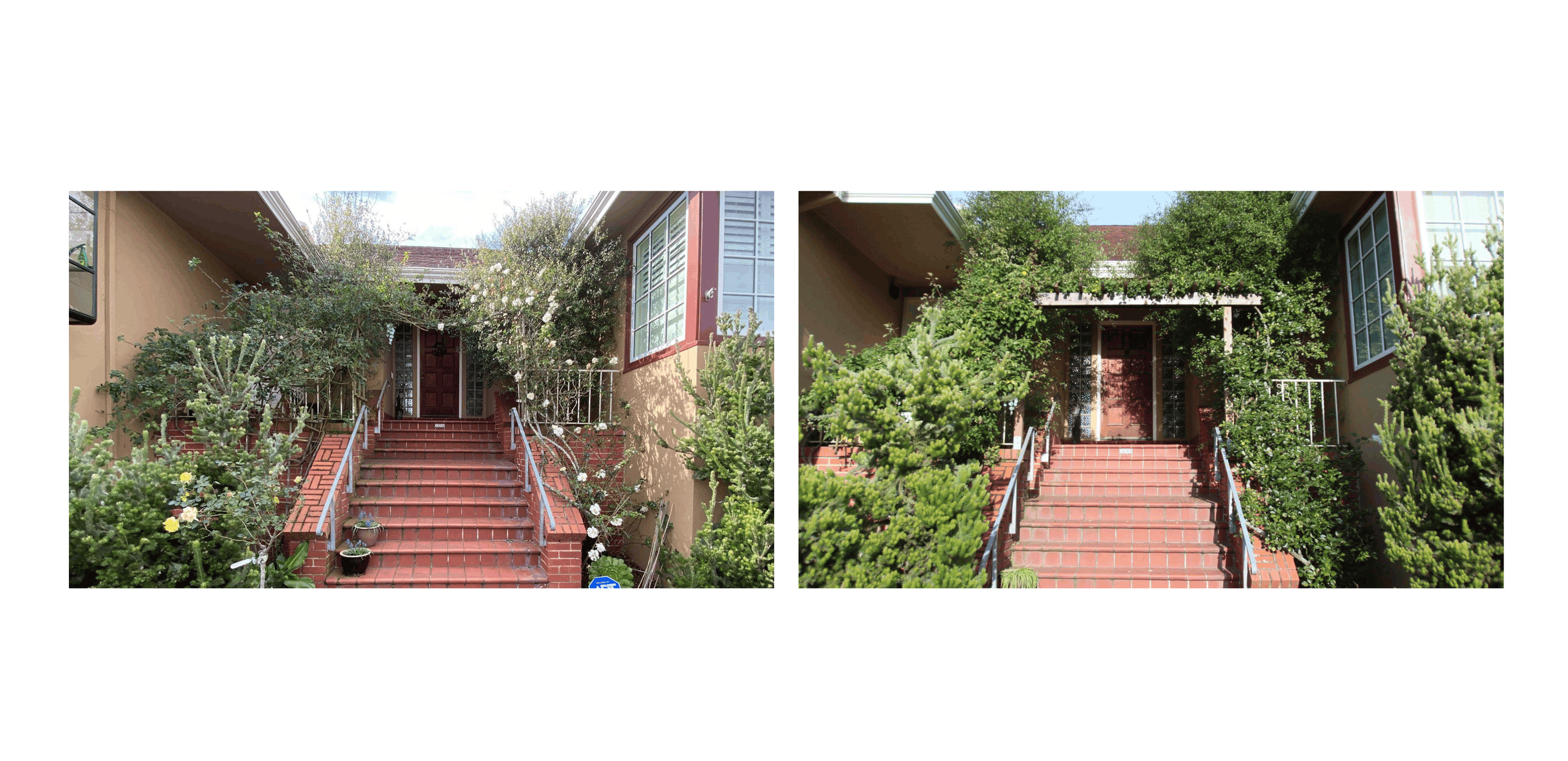 TEAL Frankel Before_After Photos-7 crop.png