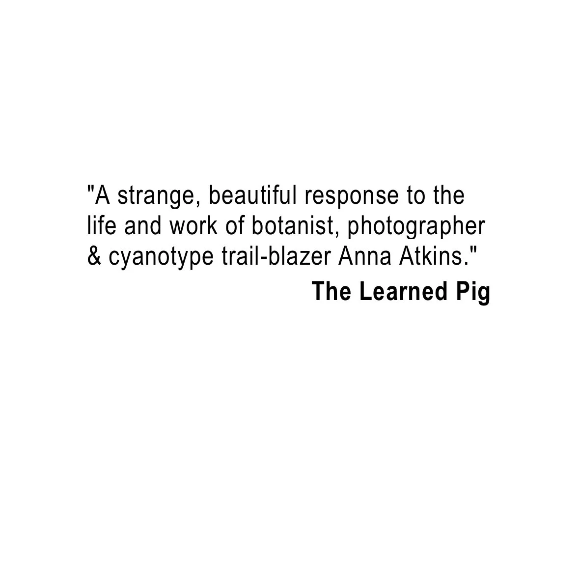 f8.jpg