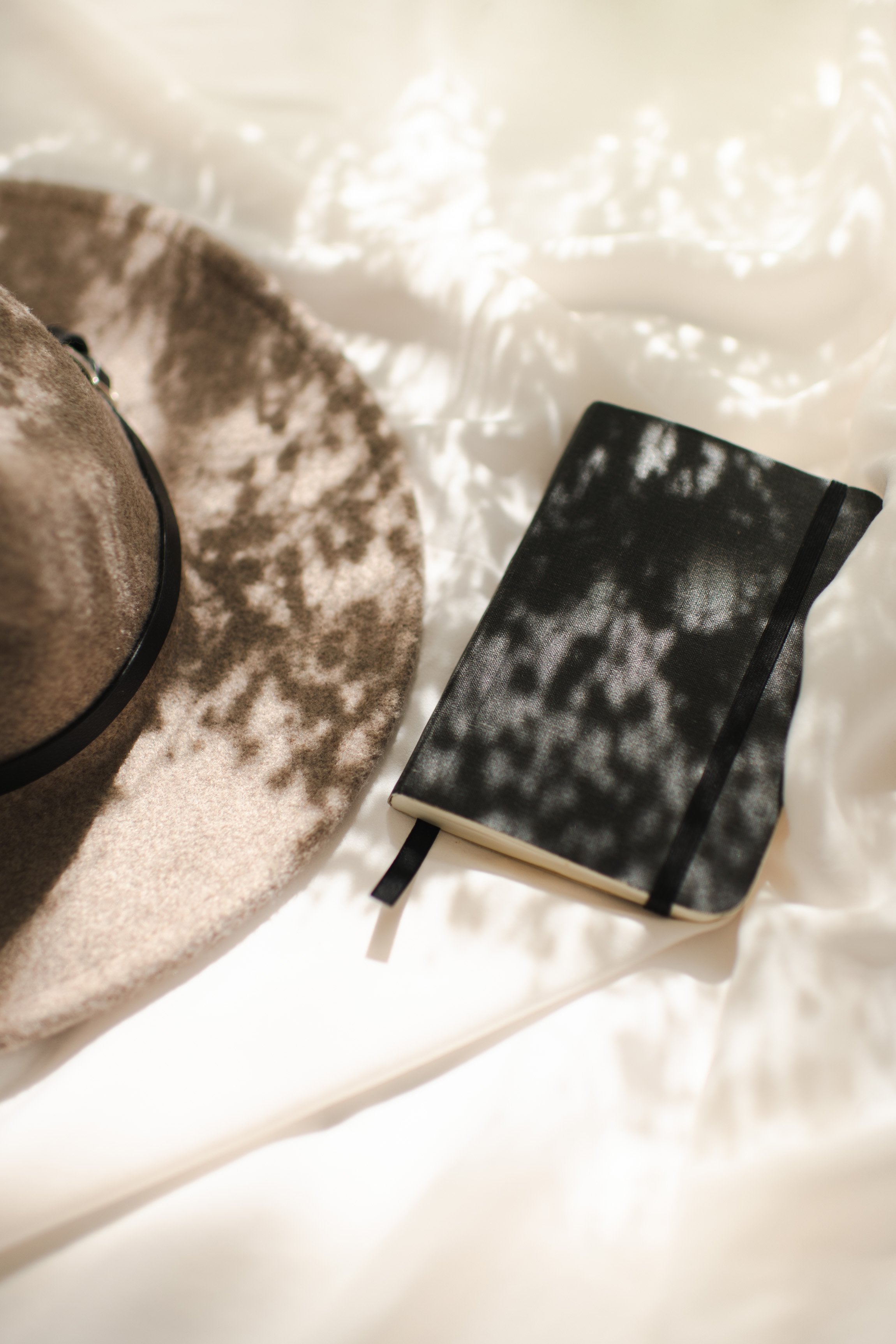 Hat and blook laying in the shade with raise of sun