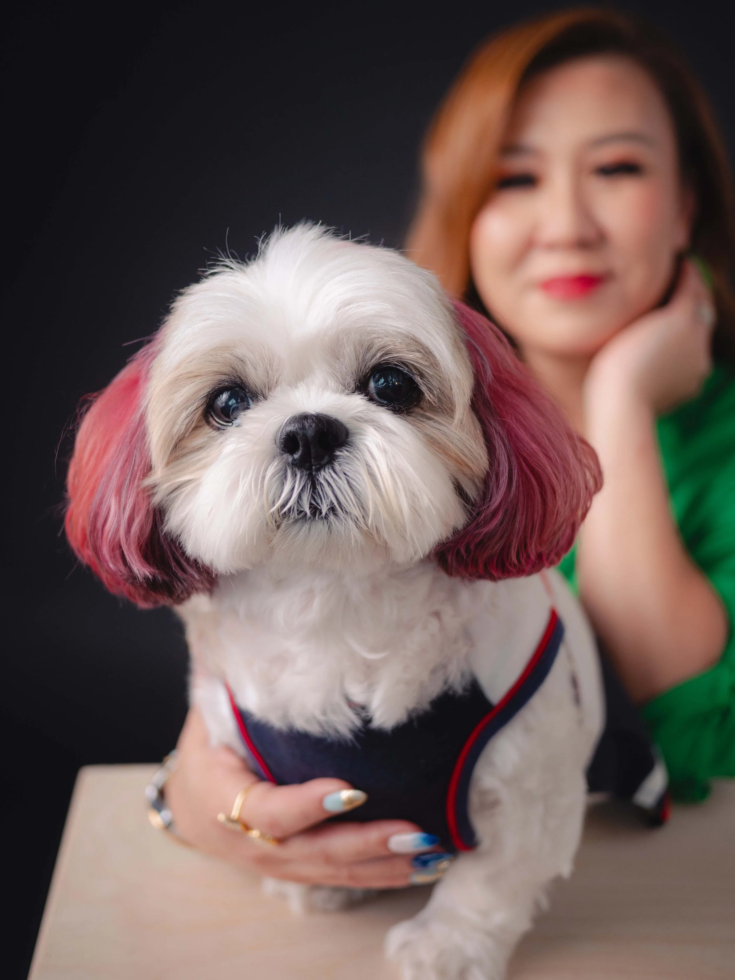 Wendy Tan pet photoshoot singapore, professional photo shoot for personal branding at Terra photo studio