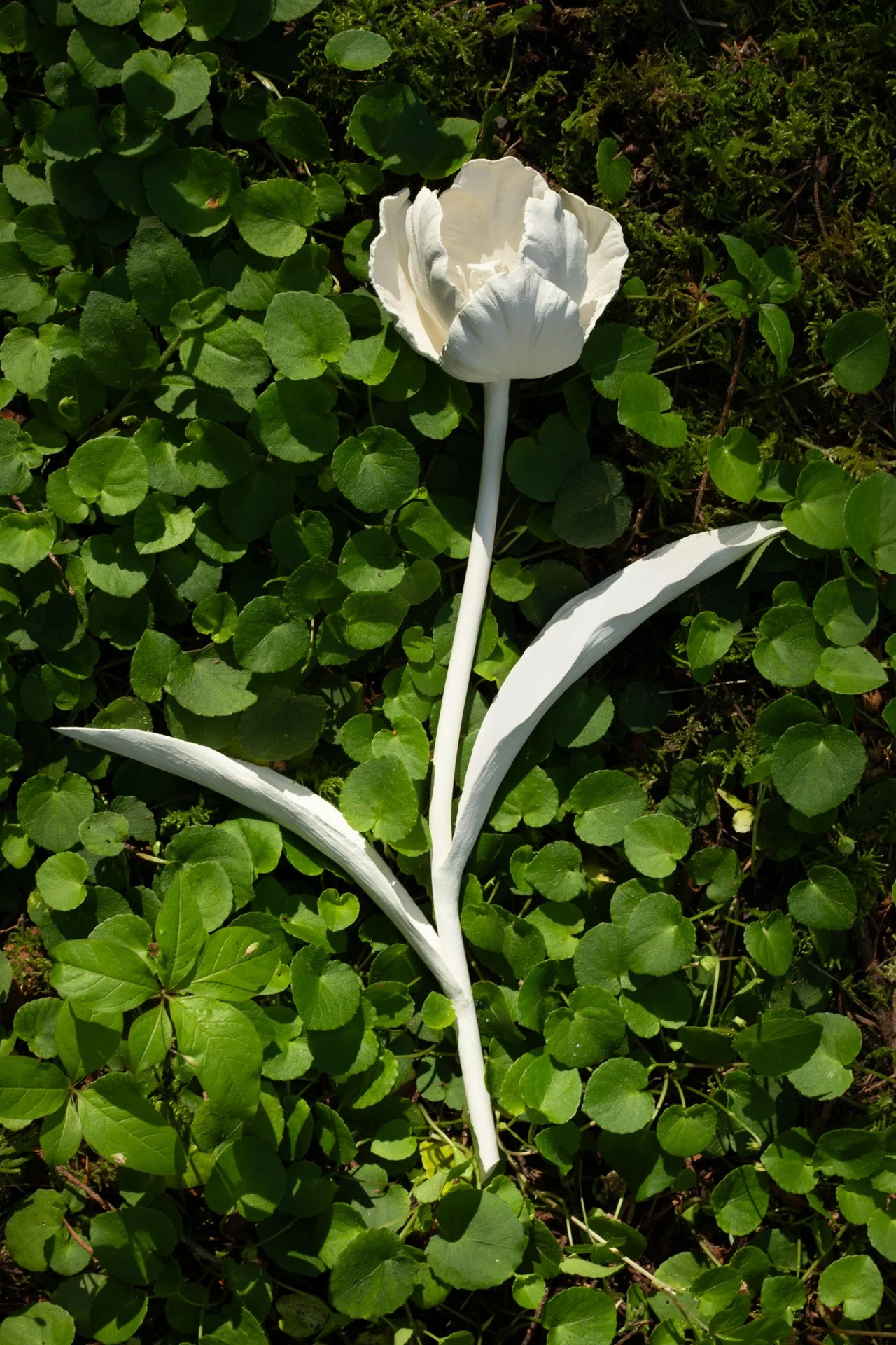 Ceramics-8.jpg