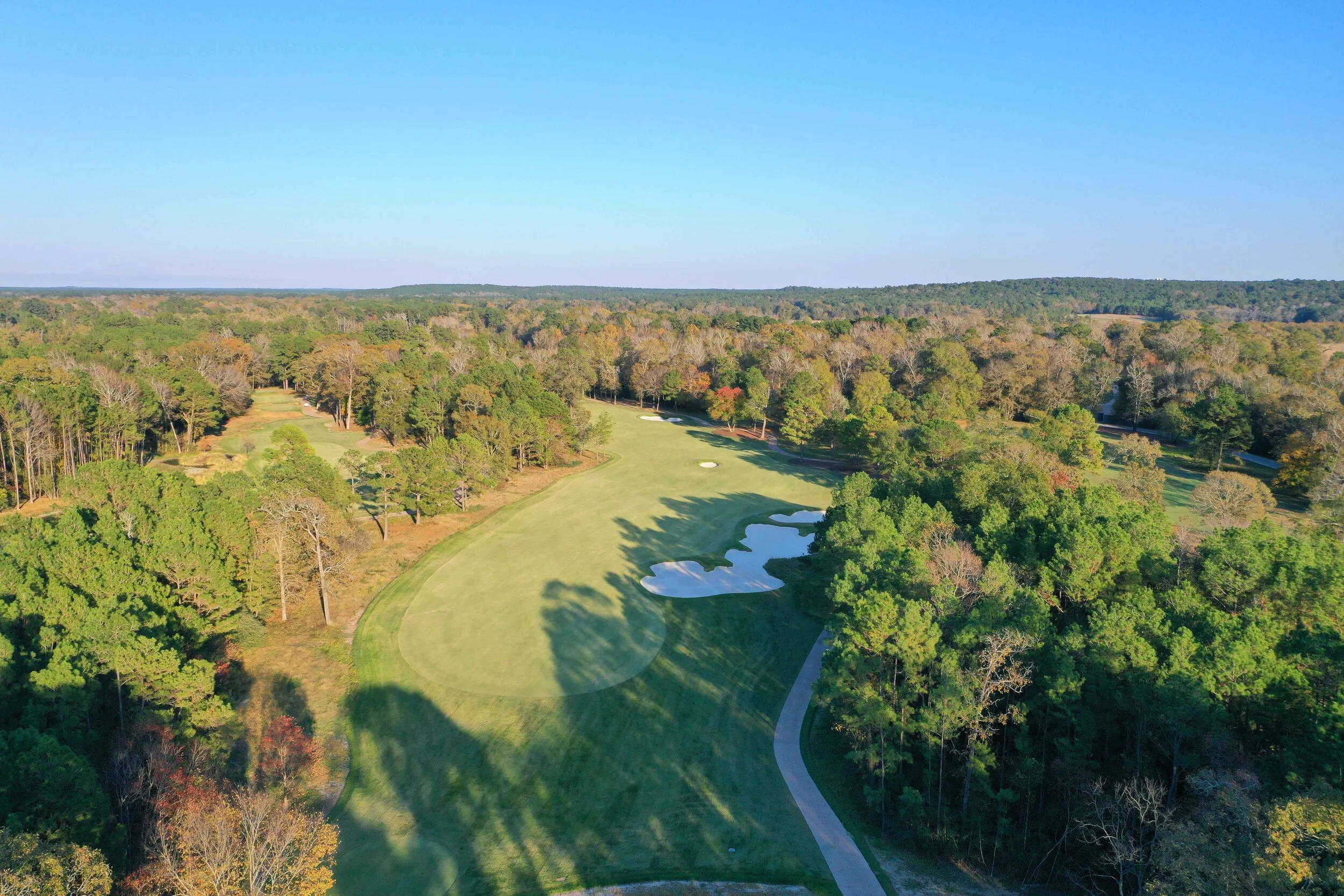 whispering-pines-aerial-trees-vibrant-WEB.jpg