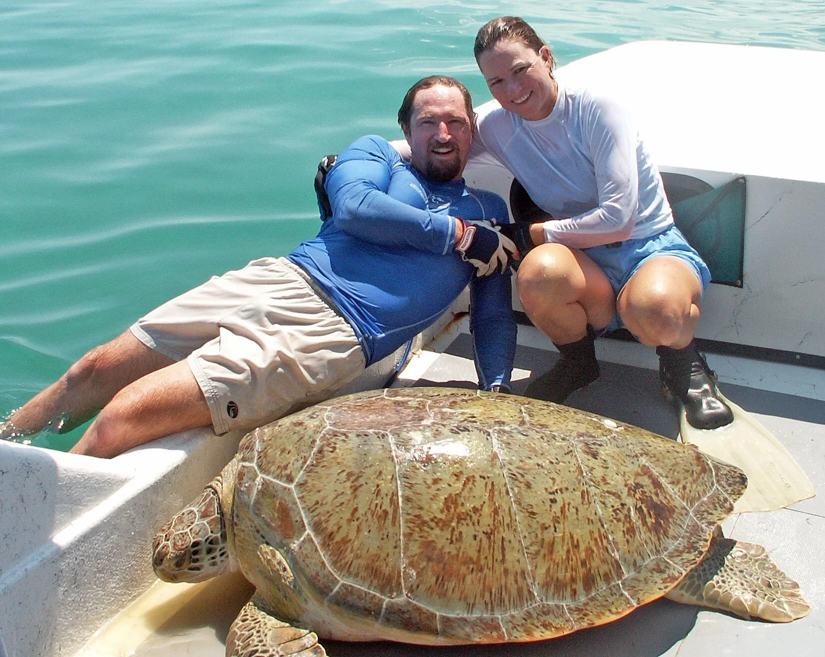 Blair &amp; Dawn Witherington: Our Local Sea Turtles – Up Close and Personal