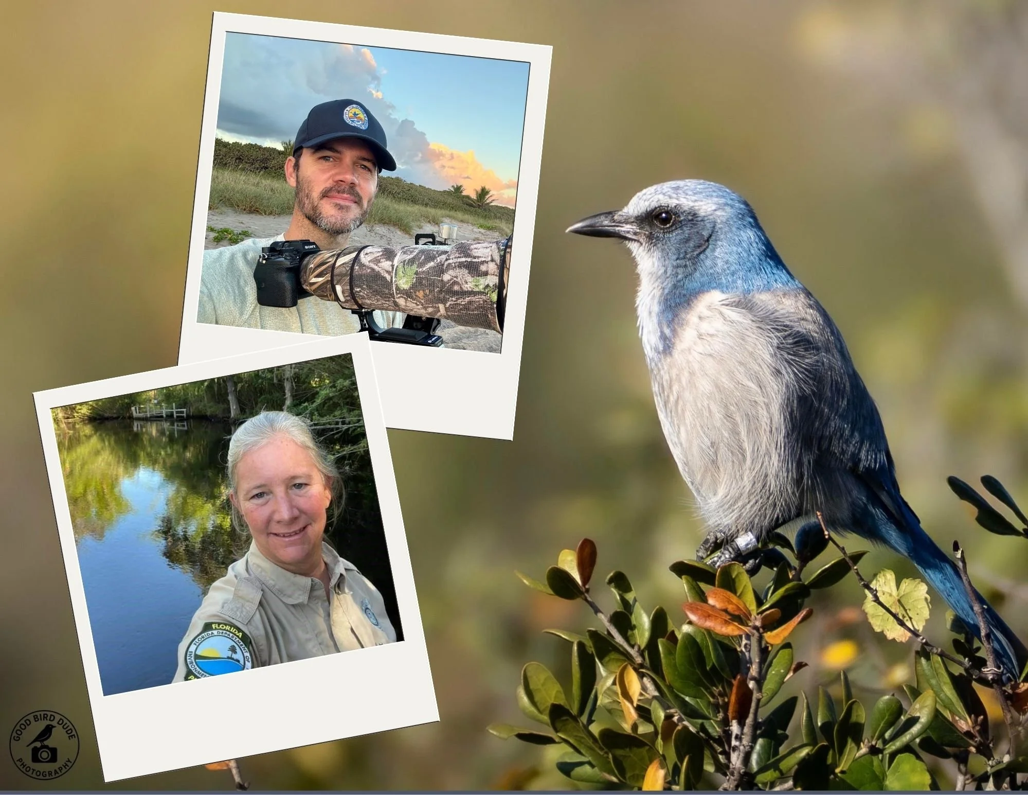 Scrub-Jay Hike &amp; Photography
