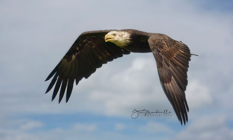 Hobe Sound Nature Center - Photo by Jim Mandeville