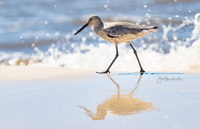 Hobe Sound Nature Center - Photo by Jim Mandeville