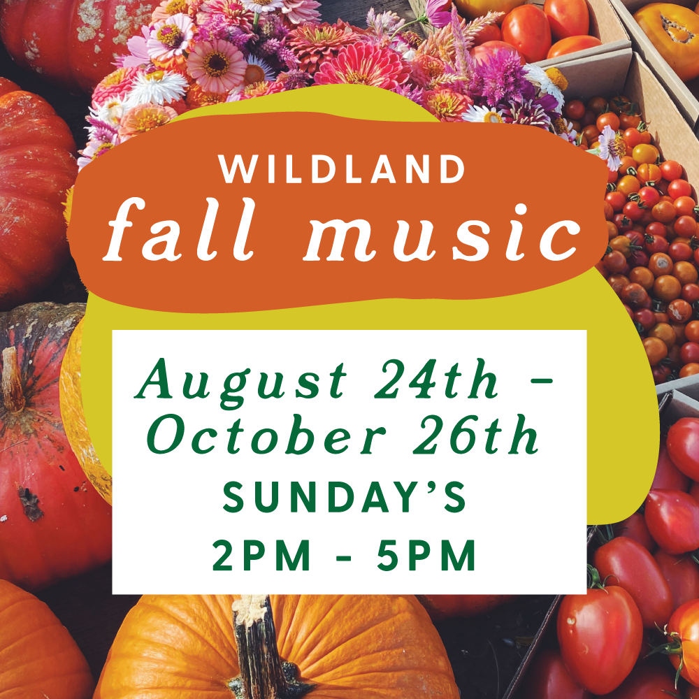 Fall Live Music: John Wayne Williams