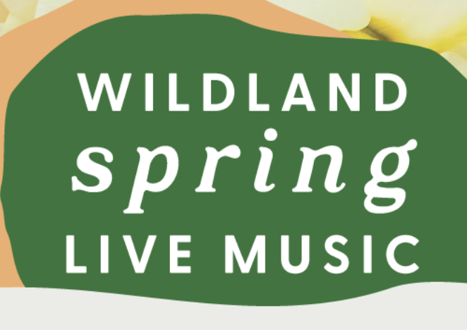 Spring Live Music: Hannah Siglin