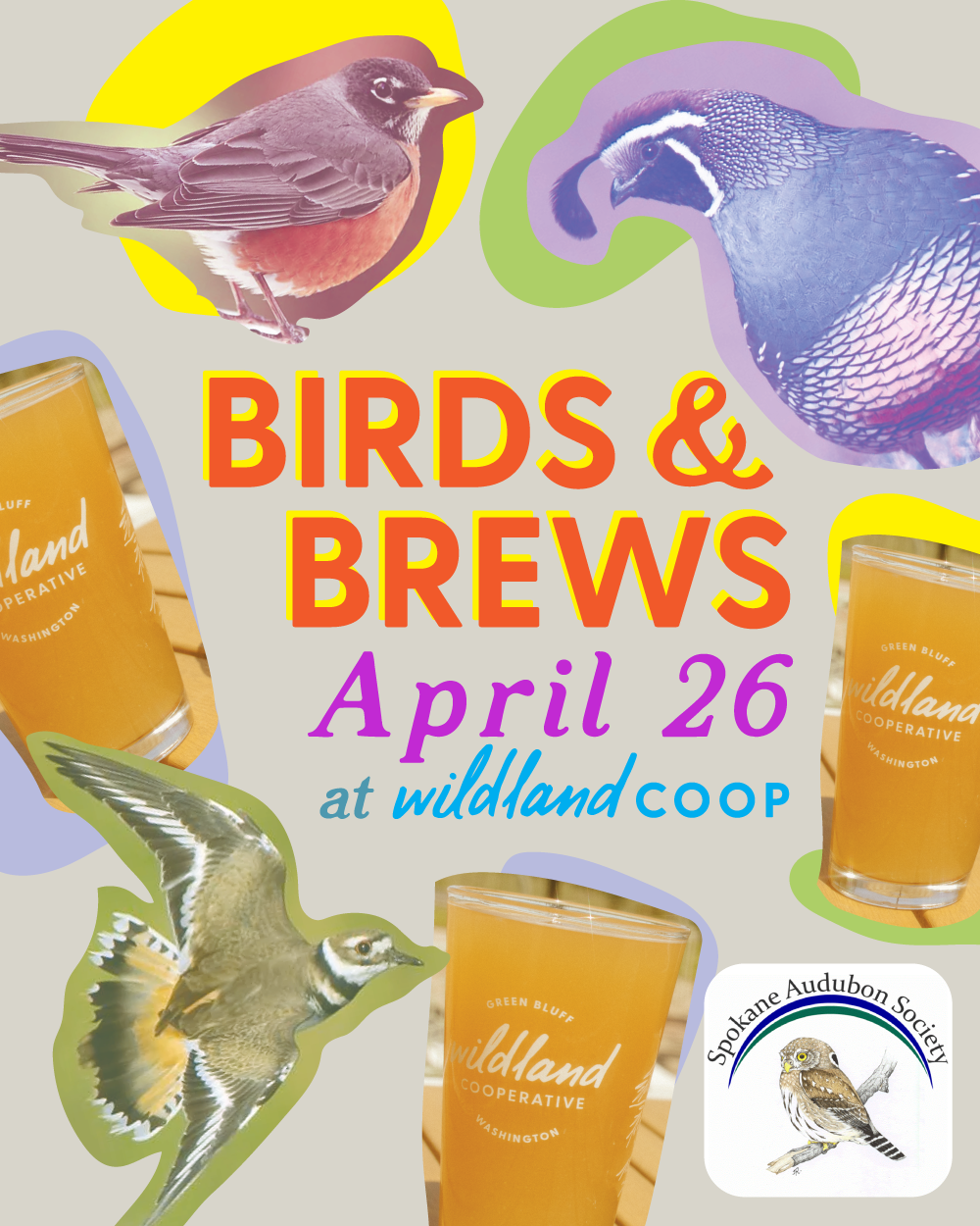 Birds &amp; Brews with Spokane Audubon Society