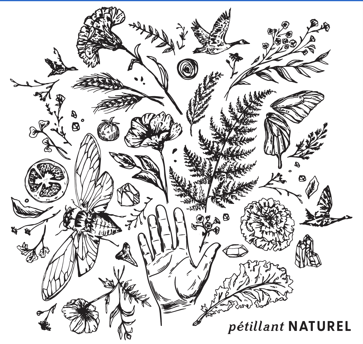 New Wine Release: Petillant Naturel 