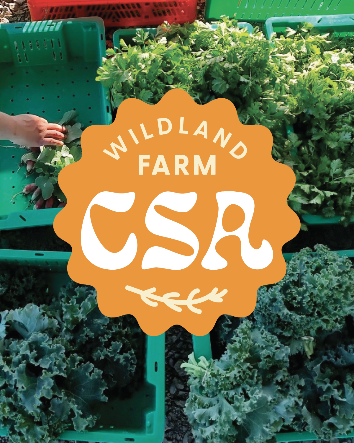 CSA Happy Hour &amp; Farm Tour