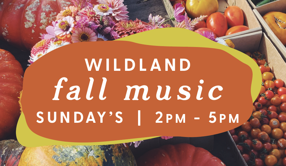 Fall Live Music Series: River Street Latin Band