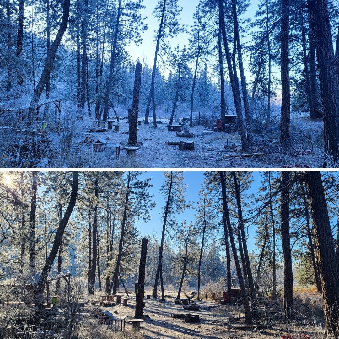 Just before and just after the sun crested the ridge this morning at Vinegar Flats Farm School.

Never need a filter here.

#greenplaynorthwest #greenplaynw #spokane #outdoorschool #natureplay #farmschool #vinegarflatsfarm