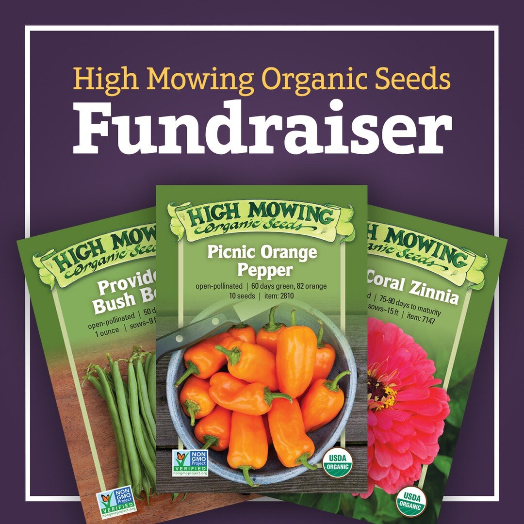 This year, we are excited to be partnering with High Mowing Organic Seeds for a fundraiser! 

High Mowing Organic Seeds are 100% organic and non-GMO, so this fundraiser is supporting a healthy community and helping Greenplay Northwest provide necessa