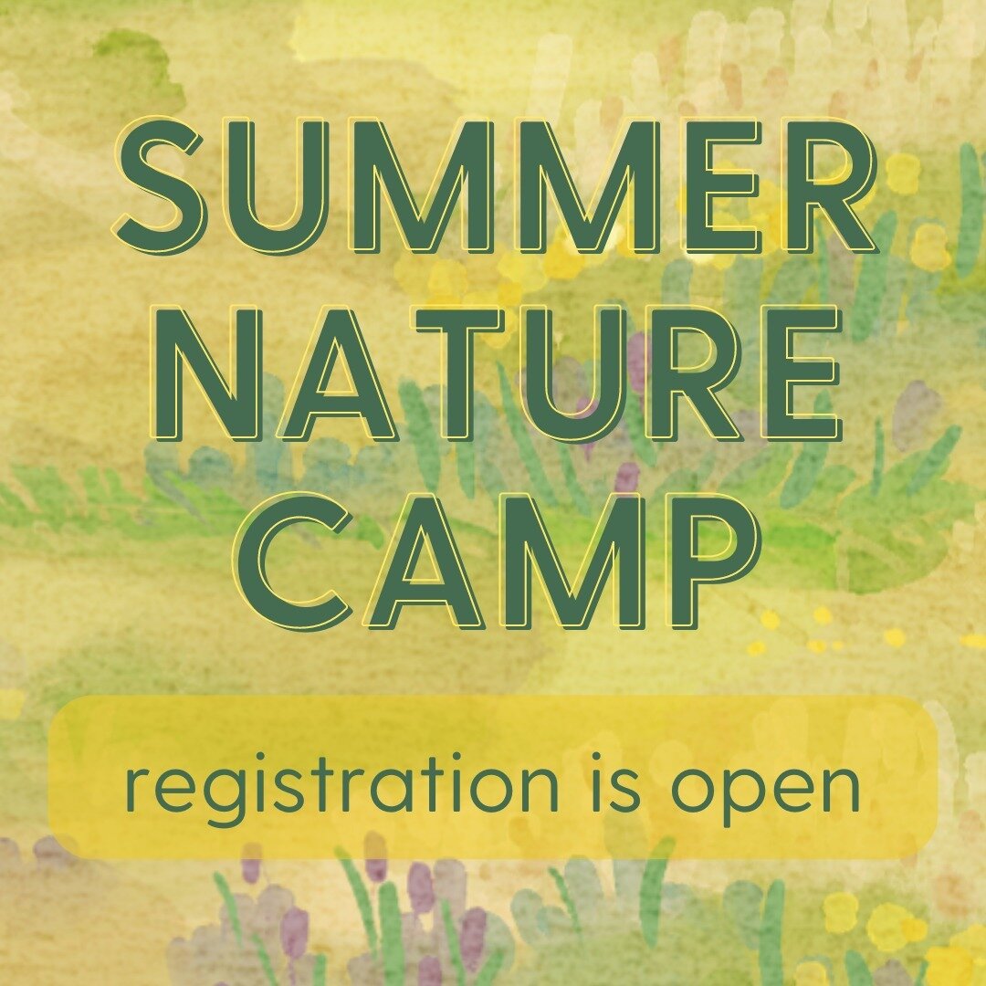 Summer Nature Camp registration is open.

Register your child now for one of our nature adventures this summer! We are offering themed summer camps in Spokane and Enumclaw. 

Space is limited!

https://www.greenplaynw.org/summer-nature-camps

#greenp