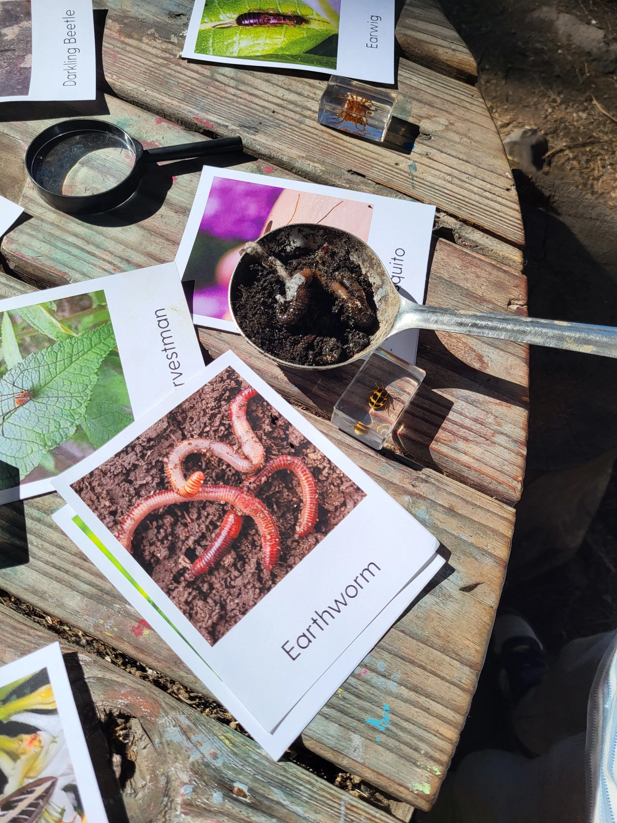 20250708_091851 (1).jpg