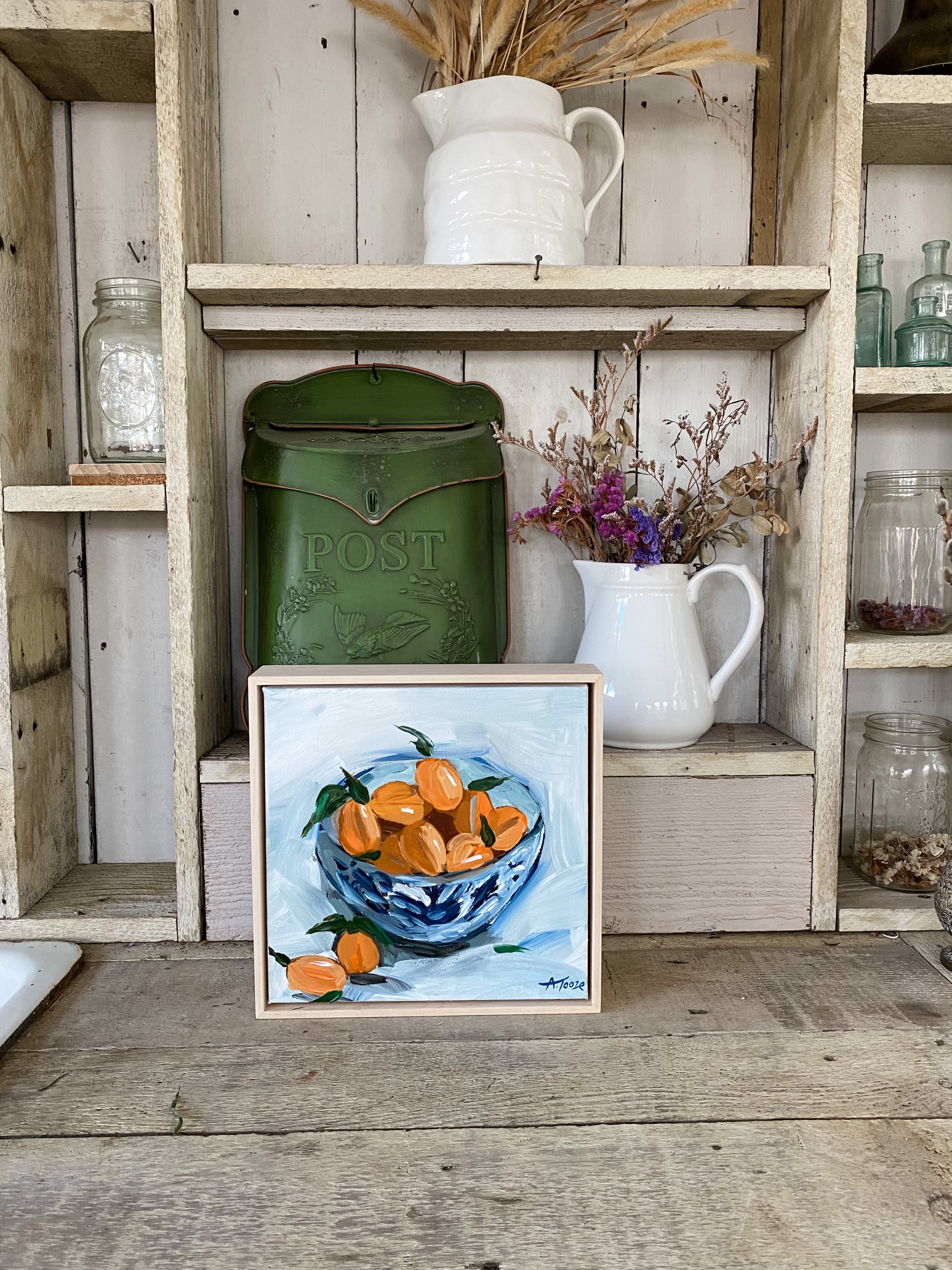 fresh picked apricots hutch .jpeg