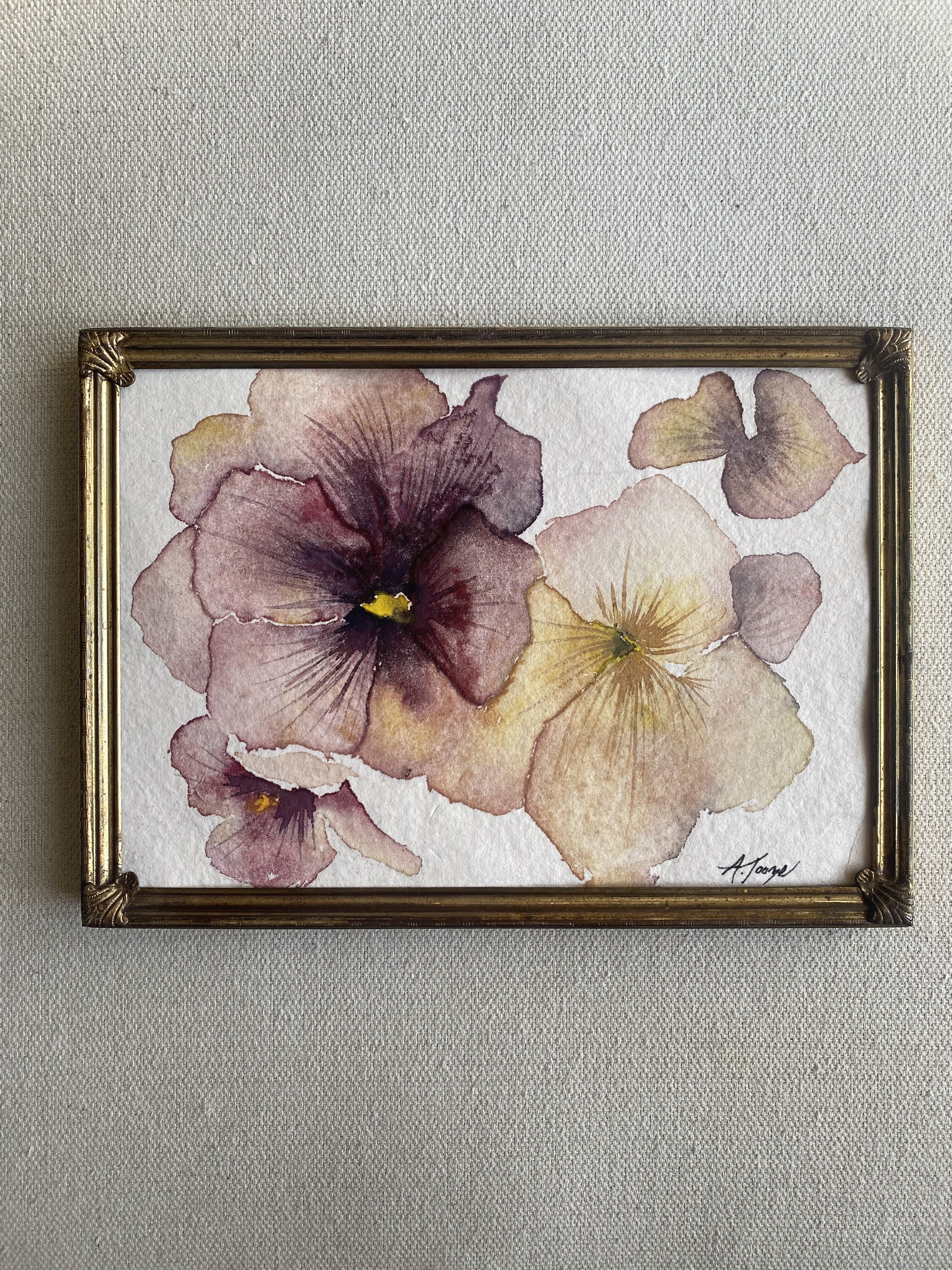 Framed autumn pansies on paper