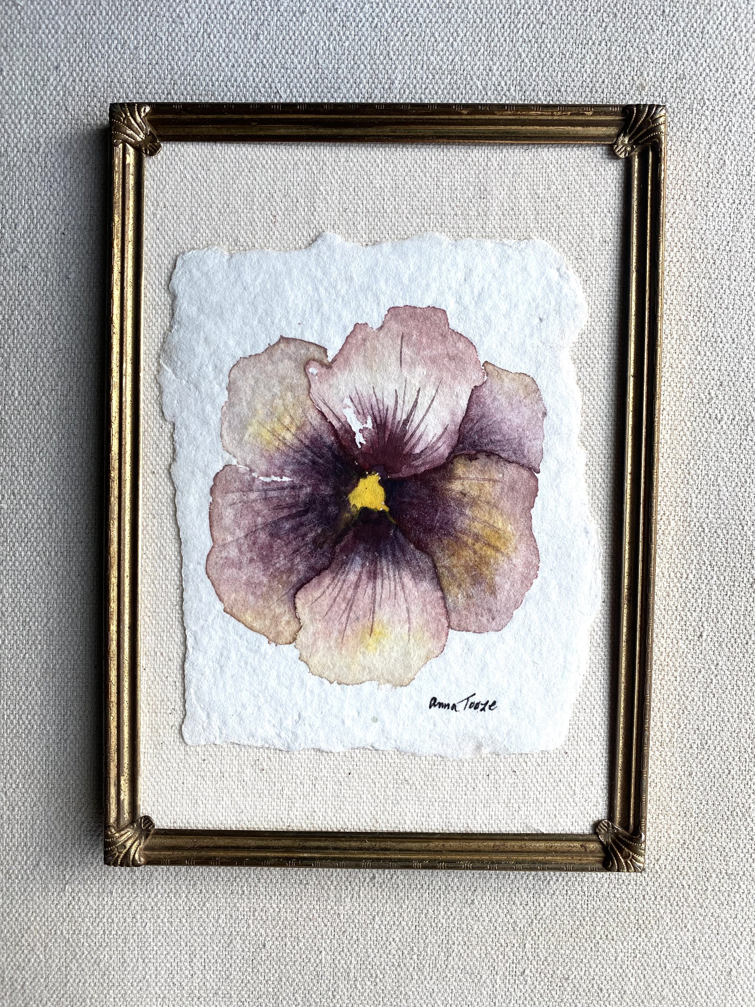 Framed autumn pansy on paper
