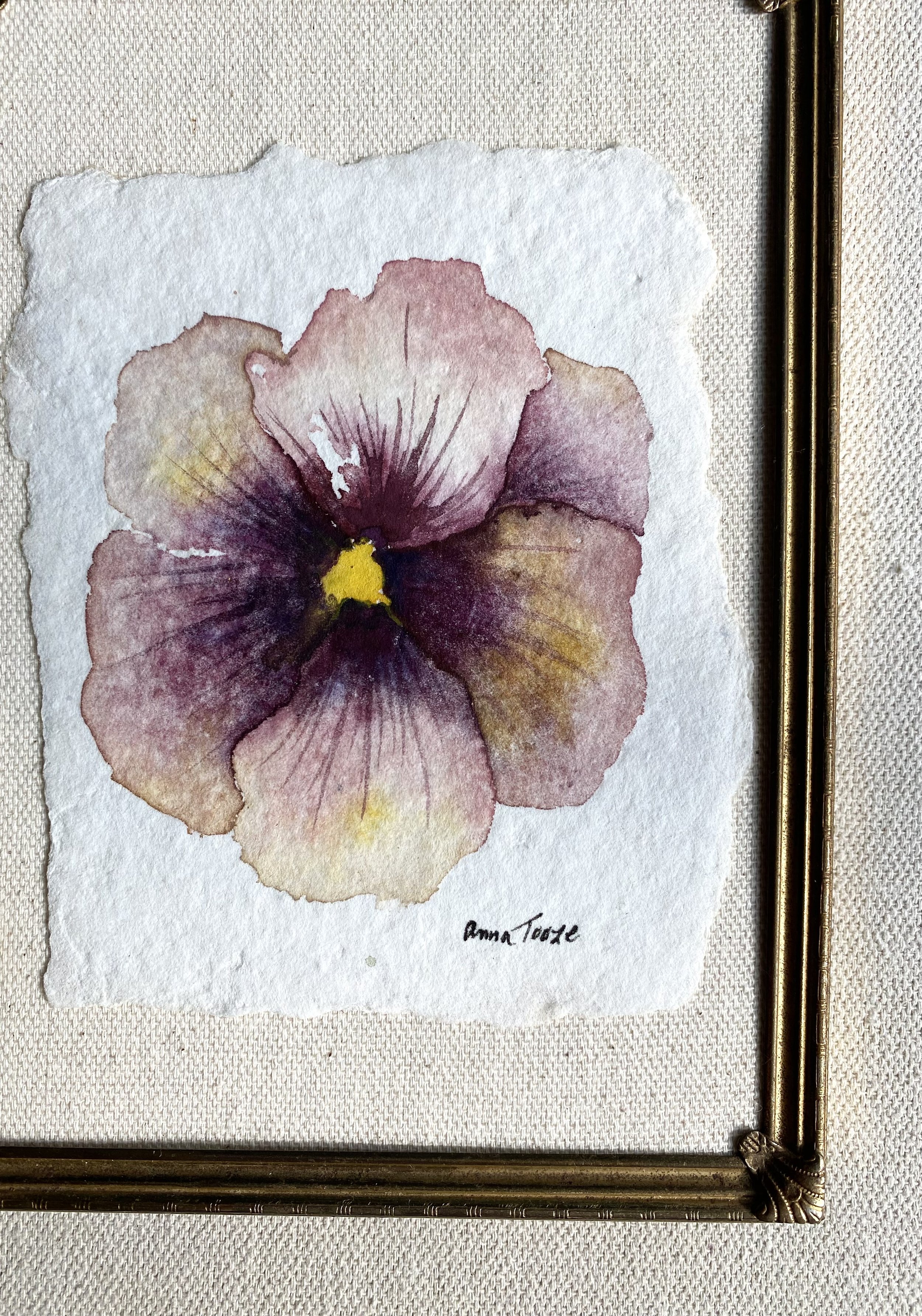 single pansy 1 right corner view.jpeg