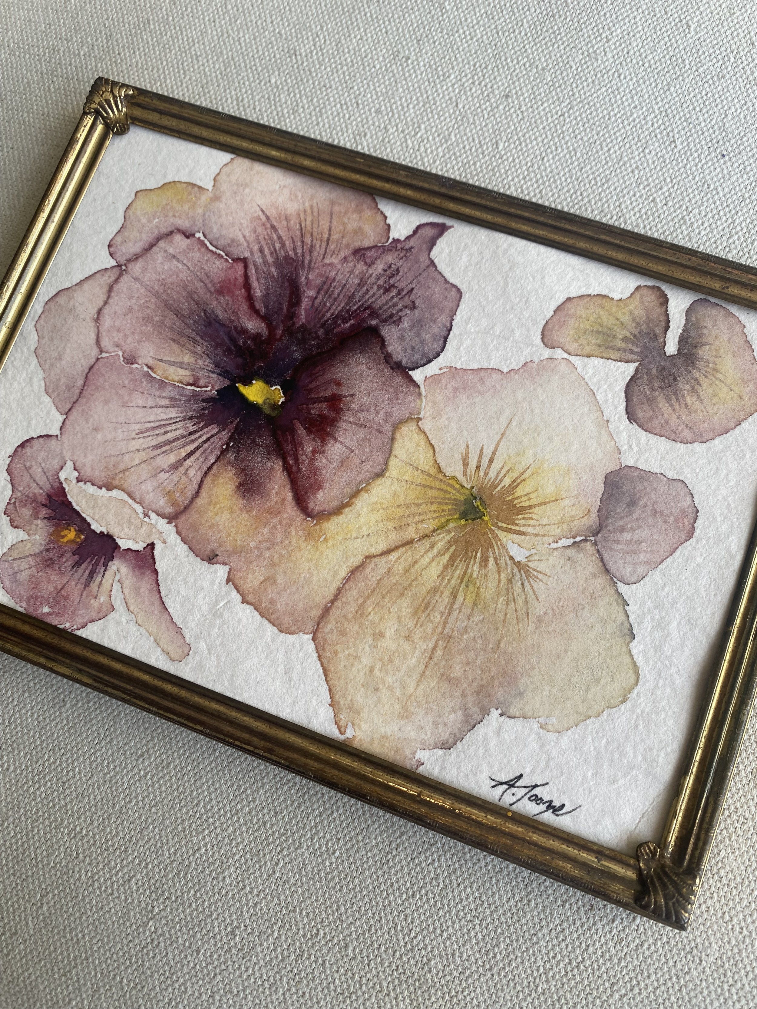 autumn pansies 1 side view.jpeg