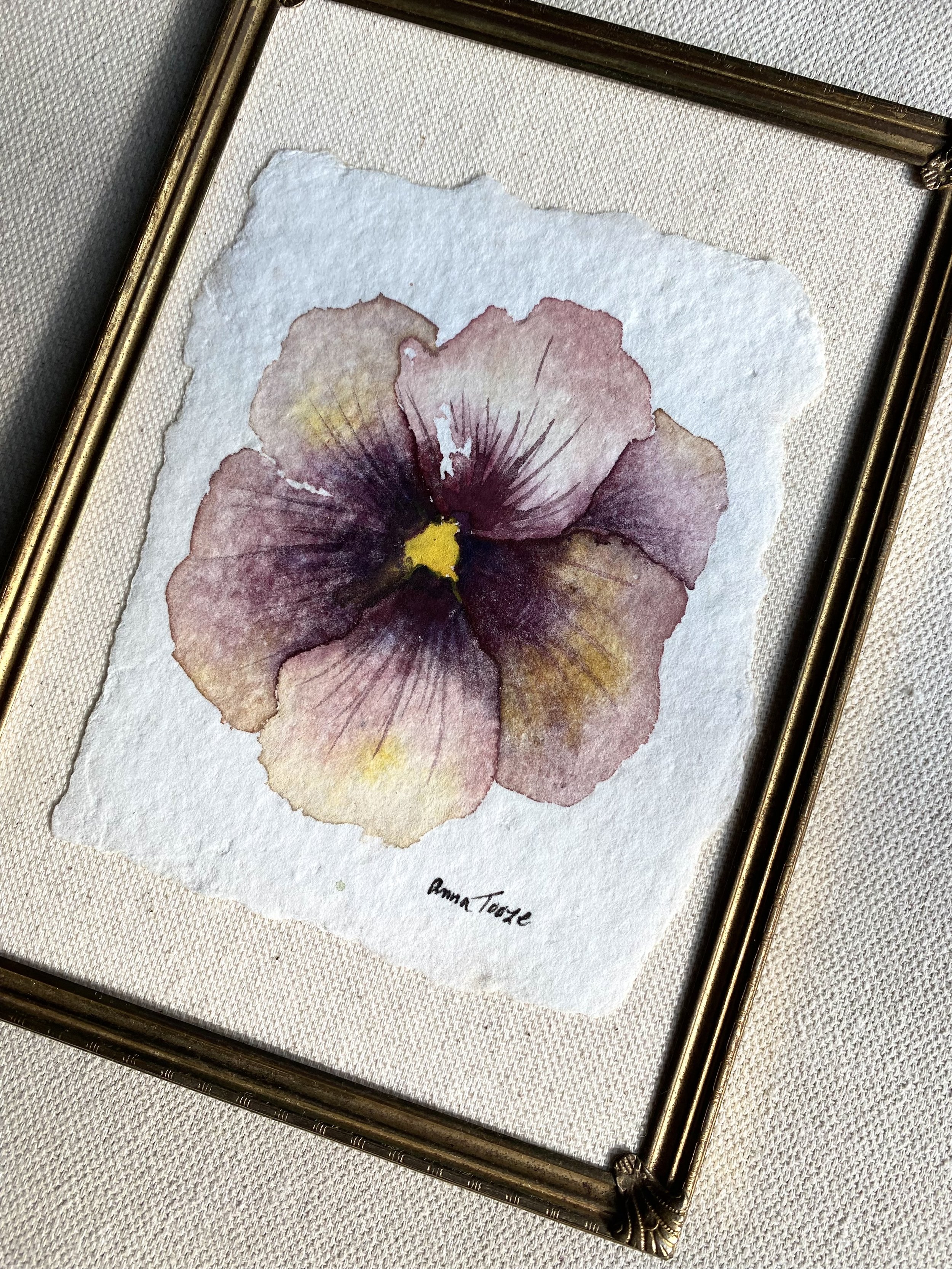 single pansy 1 side view.jpeg