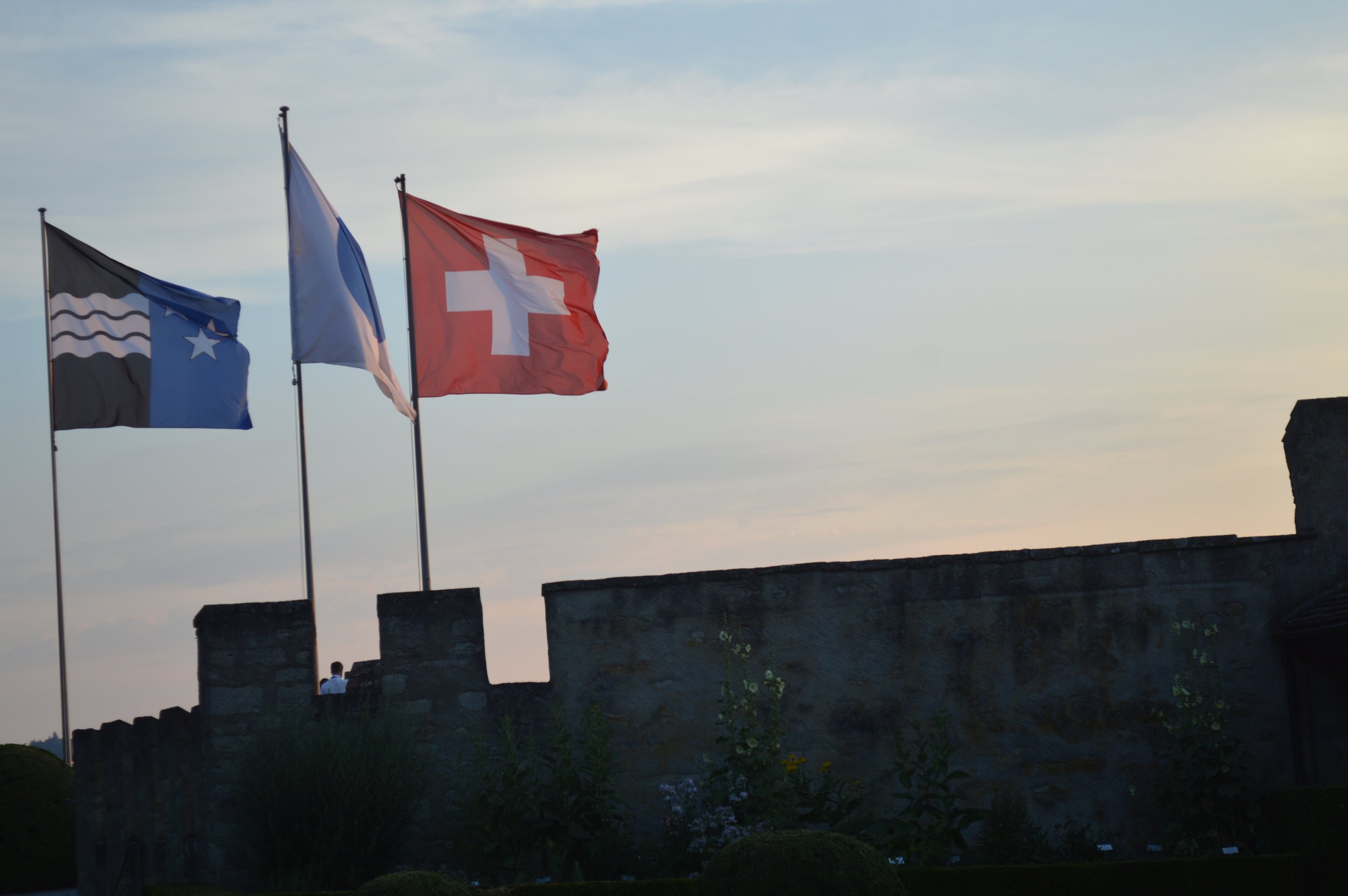 DSC_9569.JPG