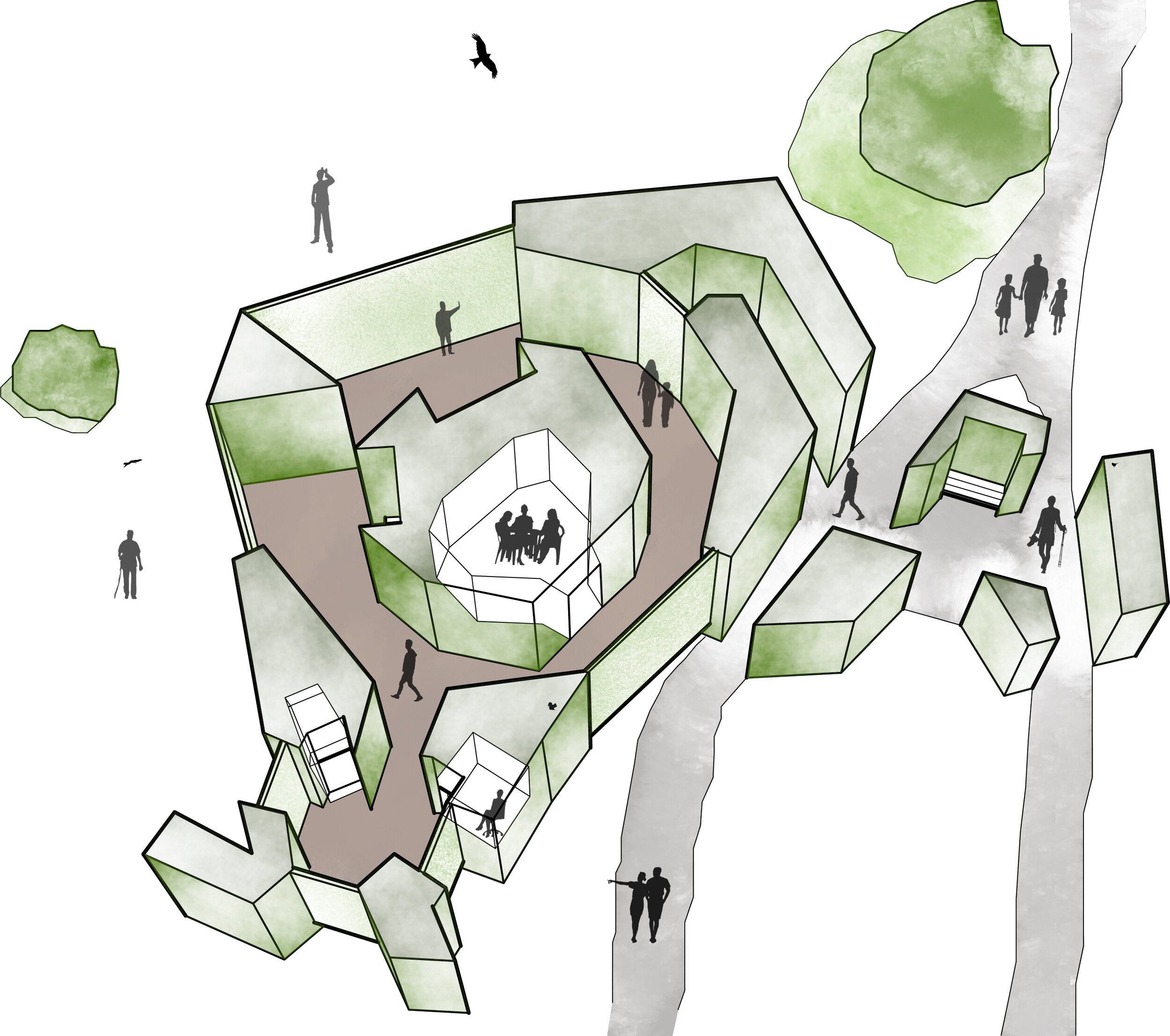 A Small Bird's Eye View