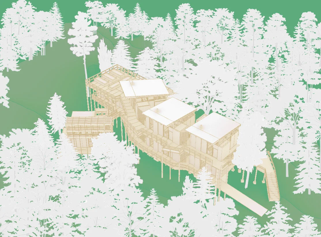 Magic Tree Village: An Open Air School