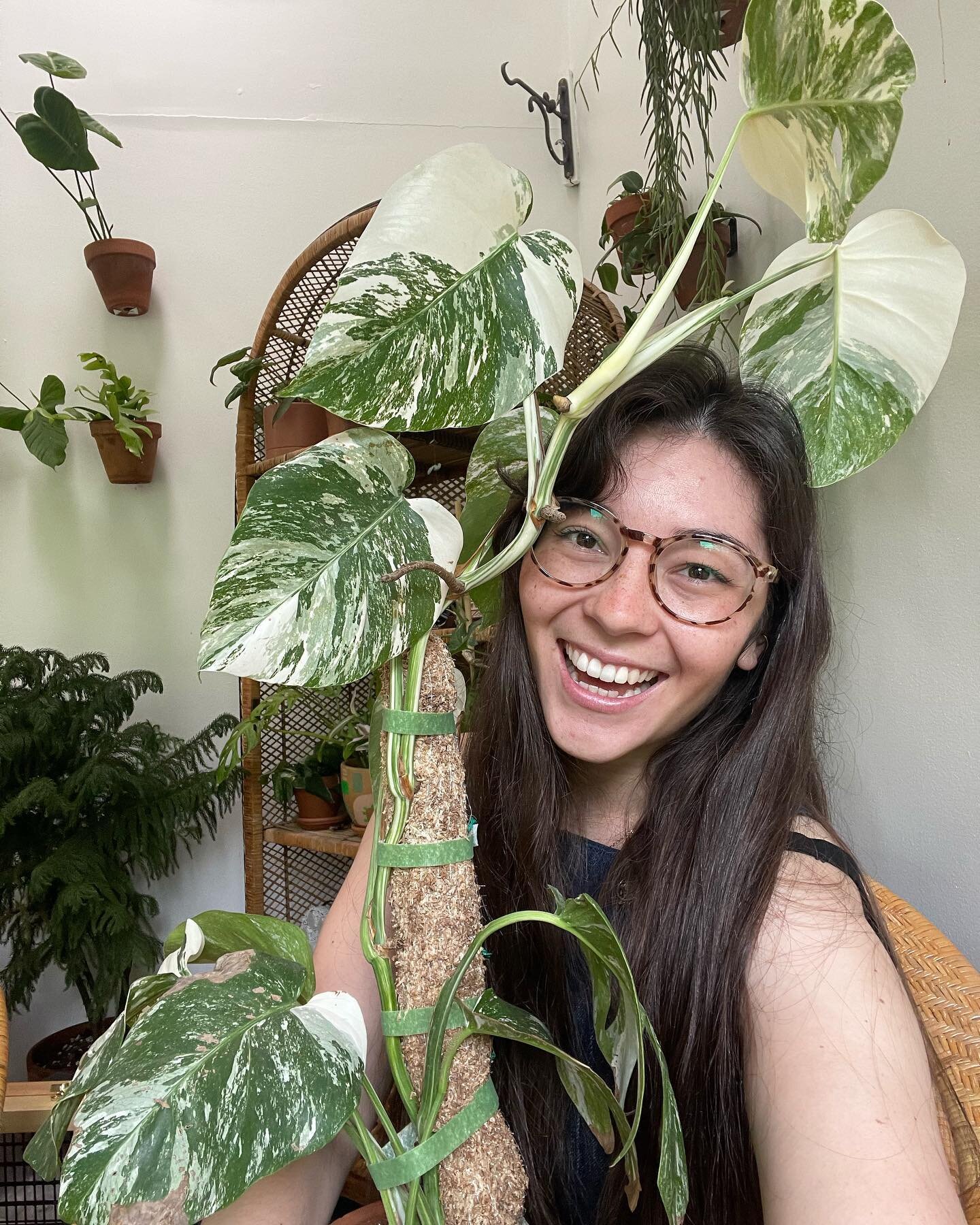 Let&rsquo;s play some PLANT TRIVIA!

In today&rsquo;s episode we learn some things... like how many edible species of plants there are. And which country has the most plant species. 

Head over to the pod and play along with us!
