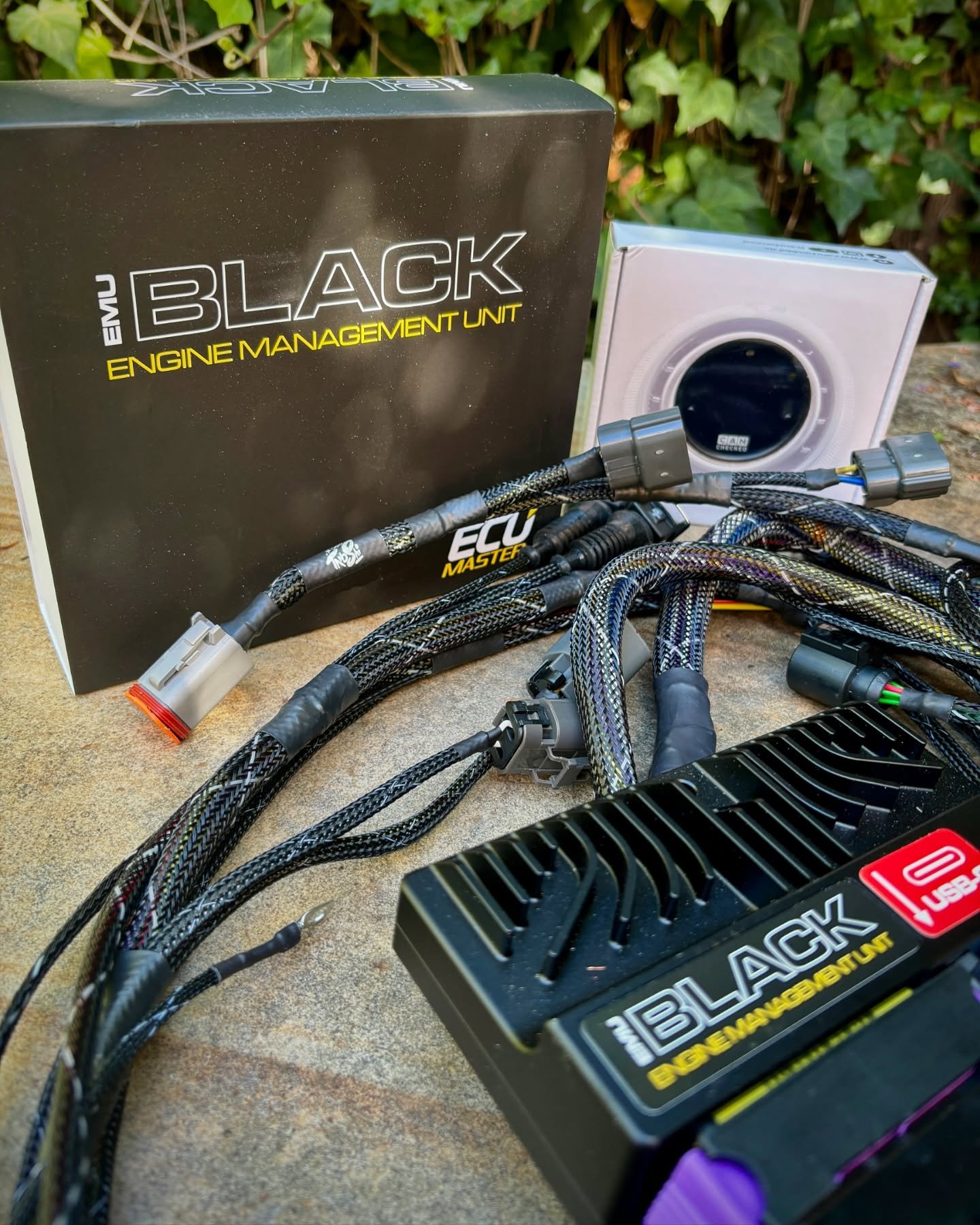 Swipe to meet our newest staff member! 
Bond&rsquo;s first day on the job was spent stress testing this new @ecumaster_official EMU Black harness ✨ Fully specced out for E85, @canchecked MFD15 and every sensor available 🤙 

Car Shop Tanoshi builds h