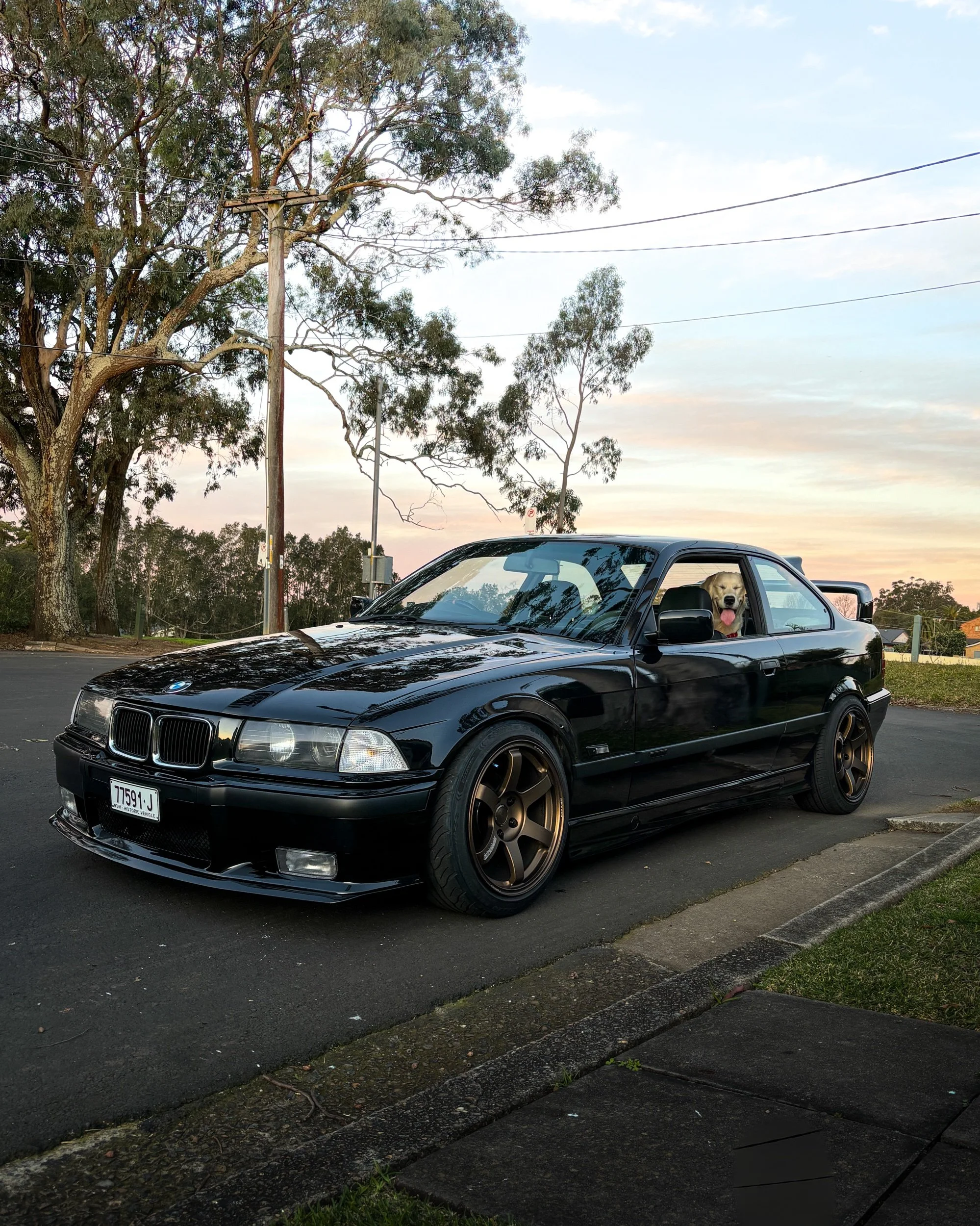 AE8353C2-02D3-4C0D-A228-3C9A6ED9A6CF.jpeg