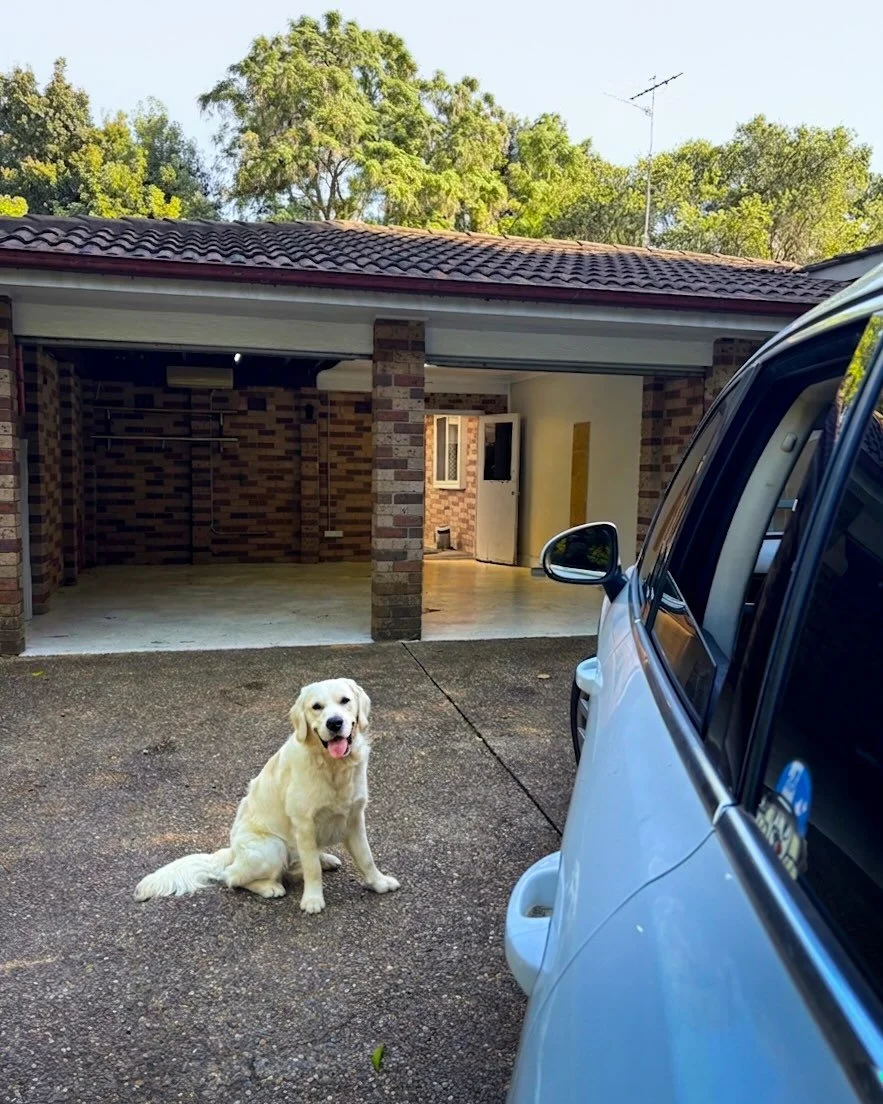 Today we moved out of the OG Car Shop Tanoshi... 5 years, a few good doggo&rsquo;s, countless cars and a bunch of friends. We&rsquo;ll remember this little garage as the one that started it all. Thanks to everyone who was part of it!

Swipe to see so