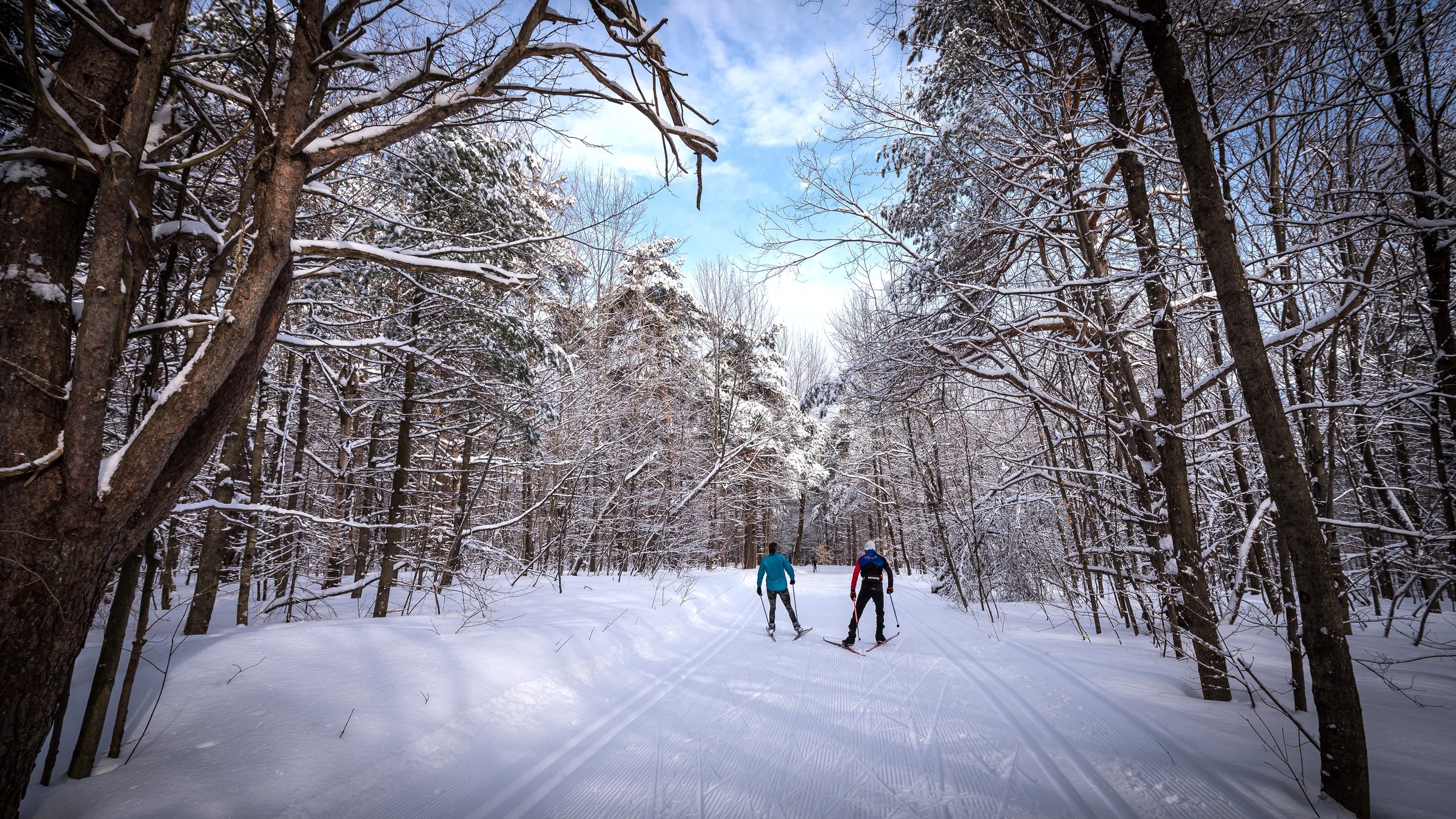 Ski de fond Wakefield Mill