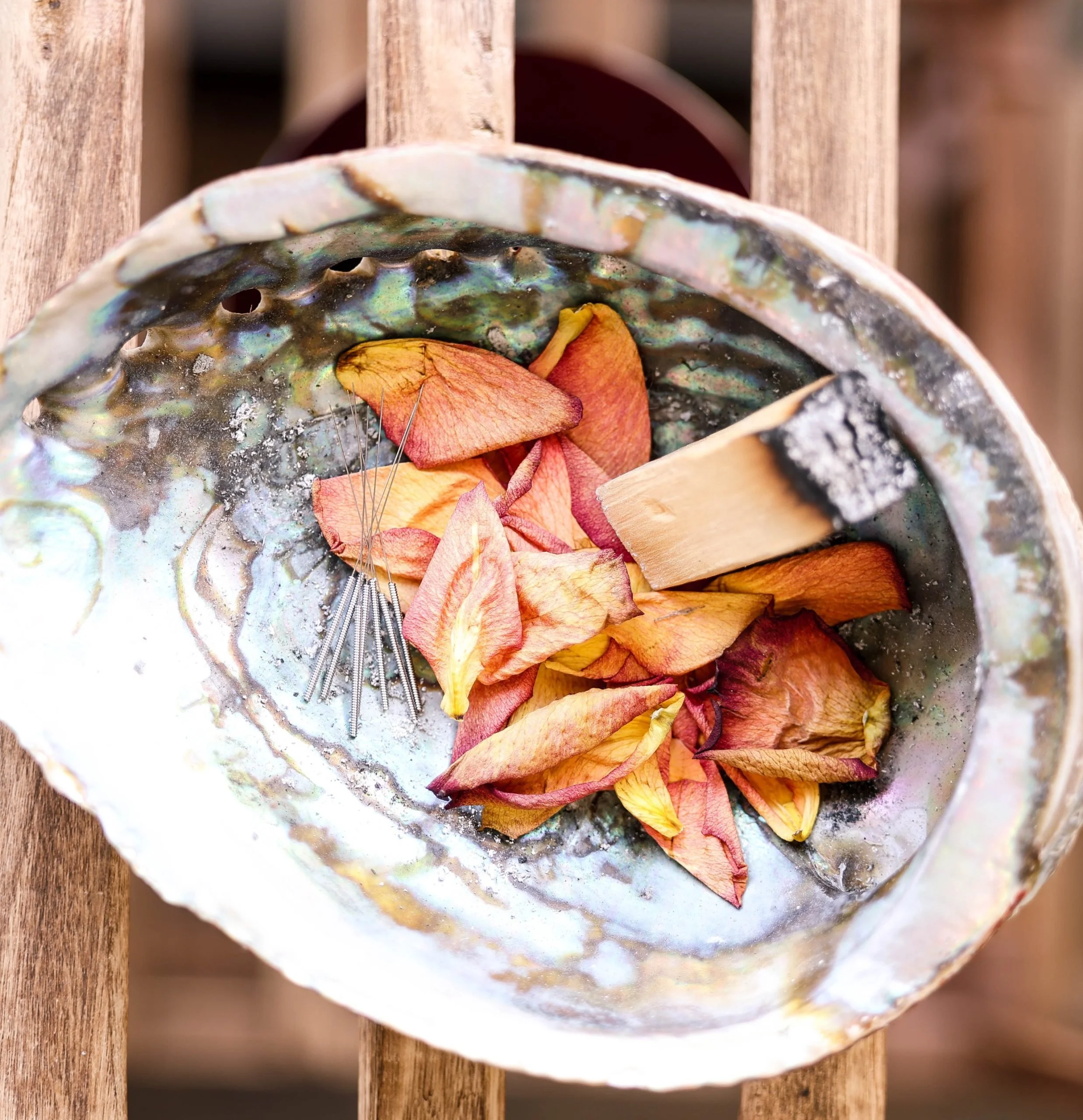 Close-up of an oyster shell filled with dried pink and yellow flower petals, a small wooden spatula, and a few metal pins, resting on a wooden surface.
