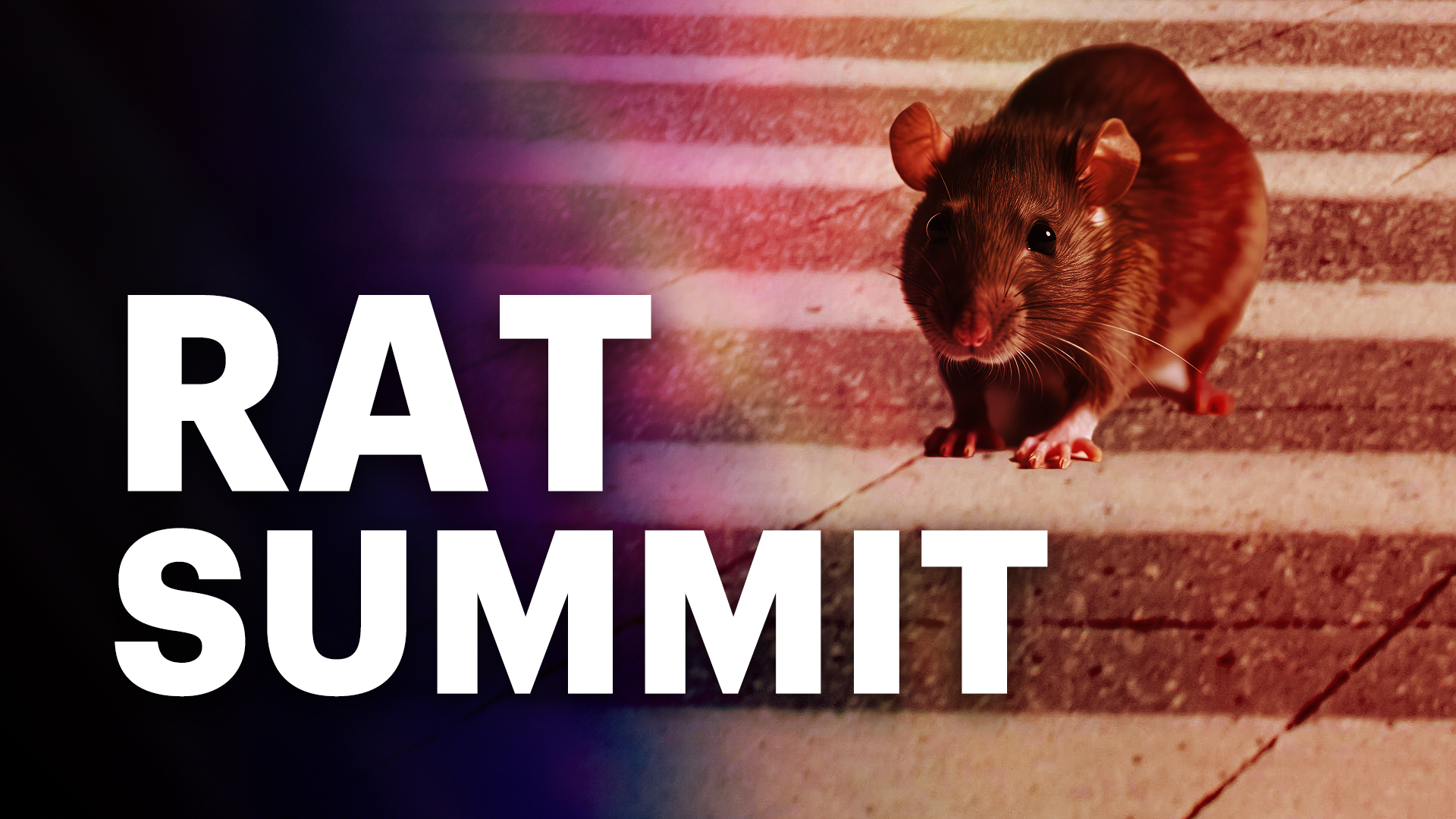 RAT SUMMIT Mon copy.png