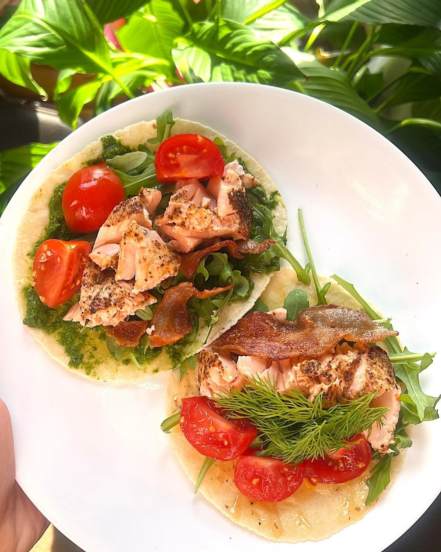 TOD - tacos of the day🤪

these salmon tacos hit so hard. 

taco on the left has a kale pesto base + taco on the right has a lil buffalo ranch base.

I used almond flour tortillas today but I&rsquo;ve also been loving the crepini egg white wraps!

10