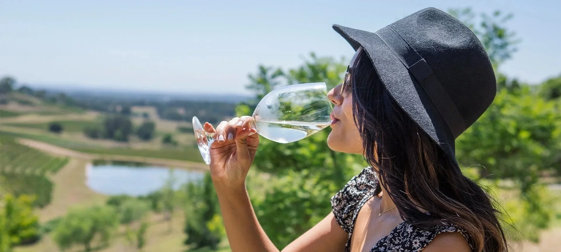 Wines in the Vines - Hunter Valley