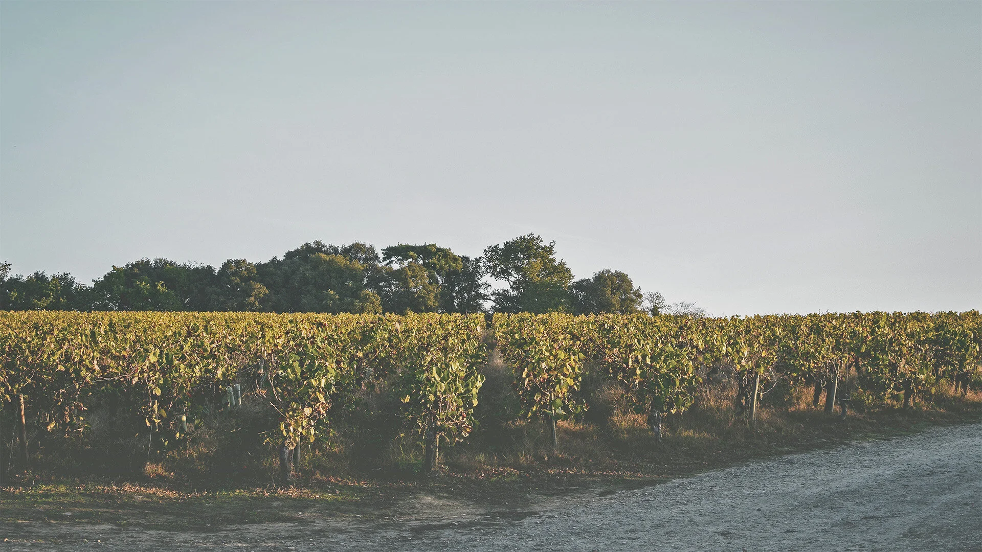 Hunter Valley Getaways — Girls Getaways