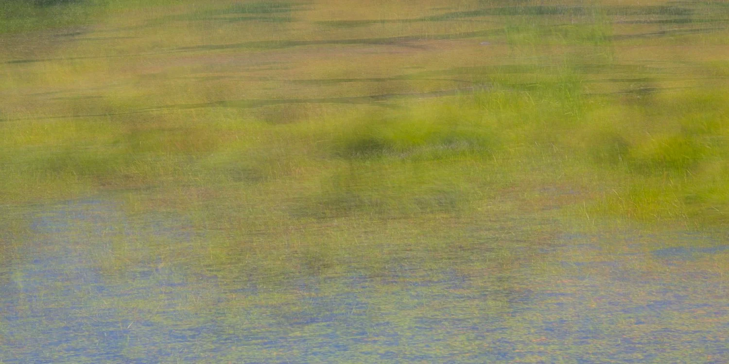 Nisqually Refuge 3 Web Size.jpg