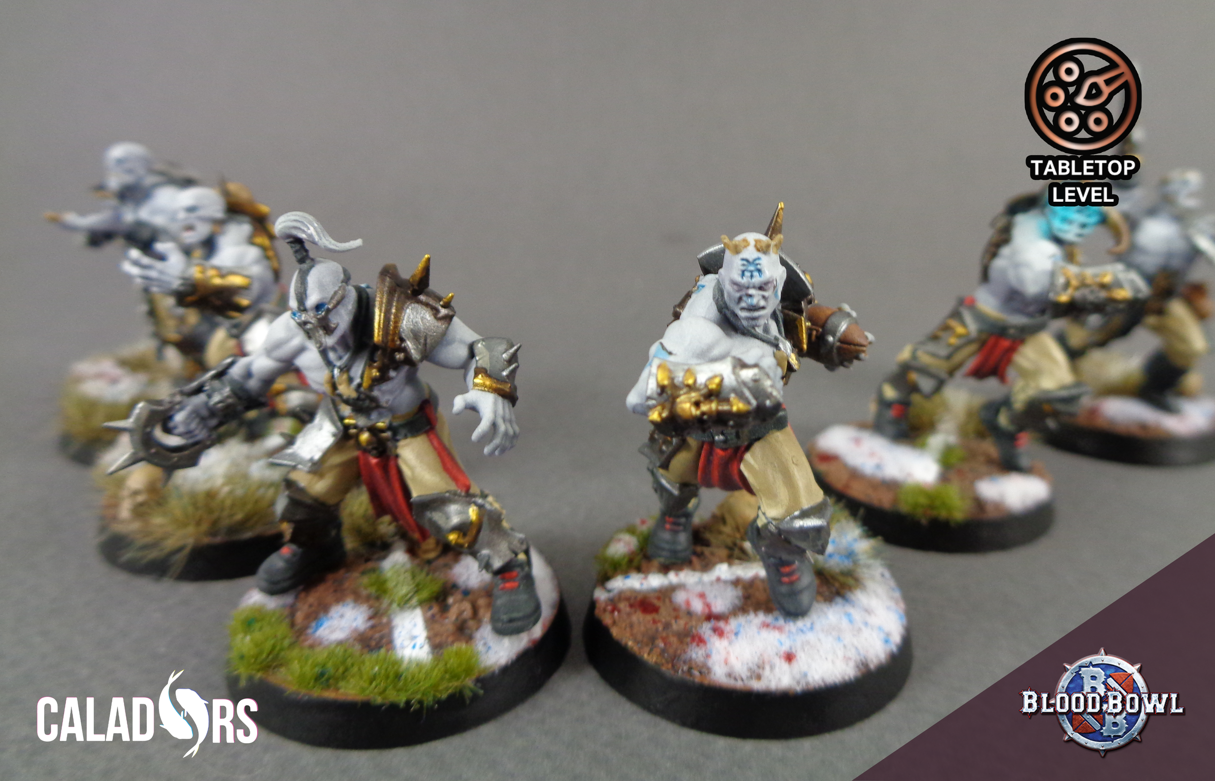 Blood Bowl Winter Whites