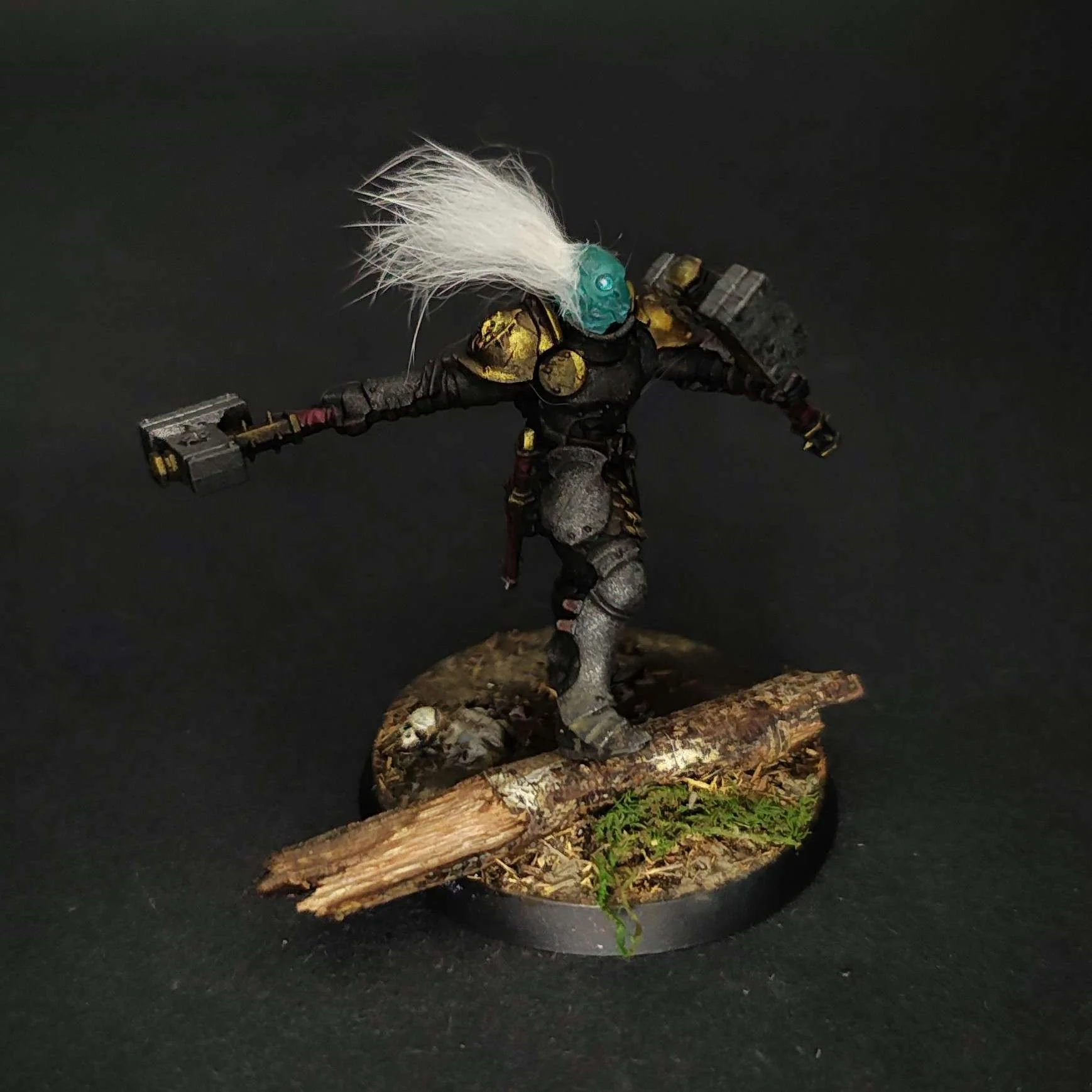 skaventide-stormcast-liberator6.jpg